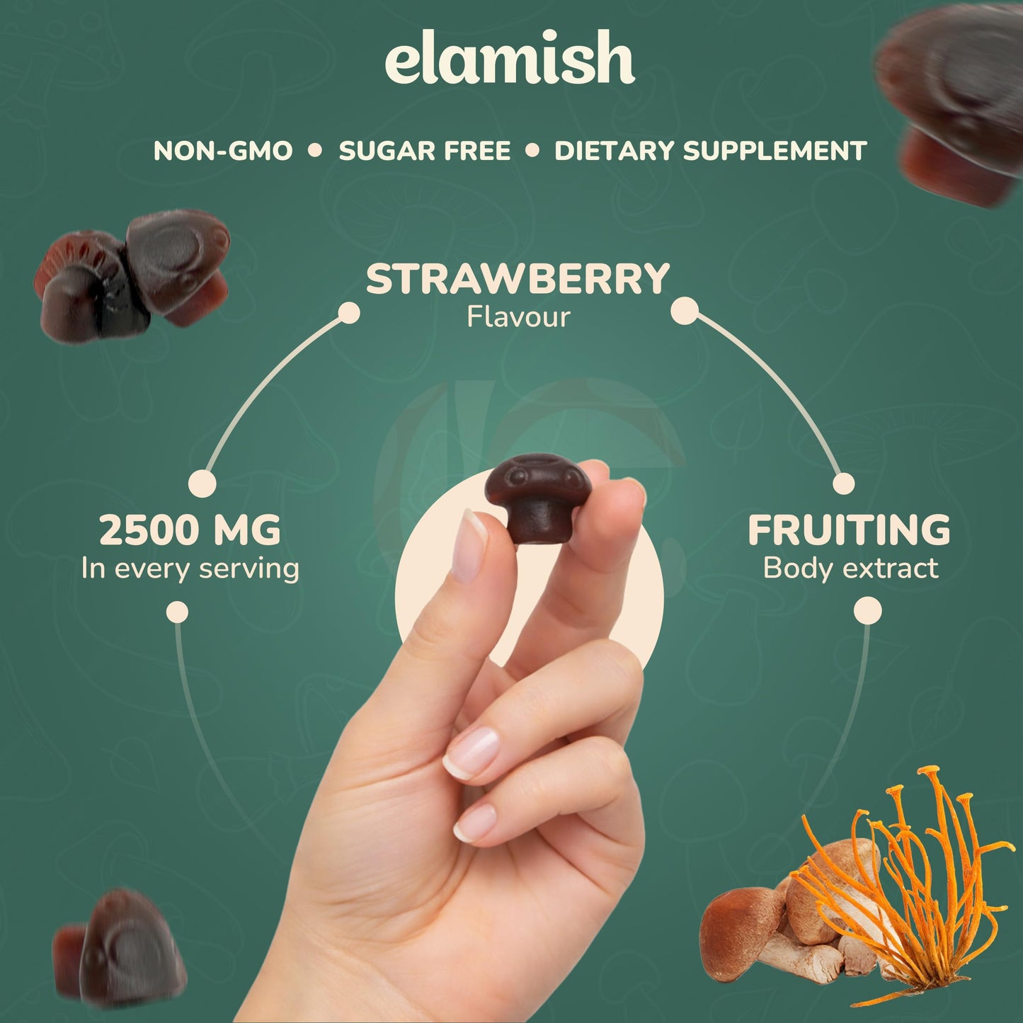 Elamish Mushroom Gummies – Focus, Immunity & Calm – Functional Mushrooms 10 Plex Blend, 60 Count