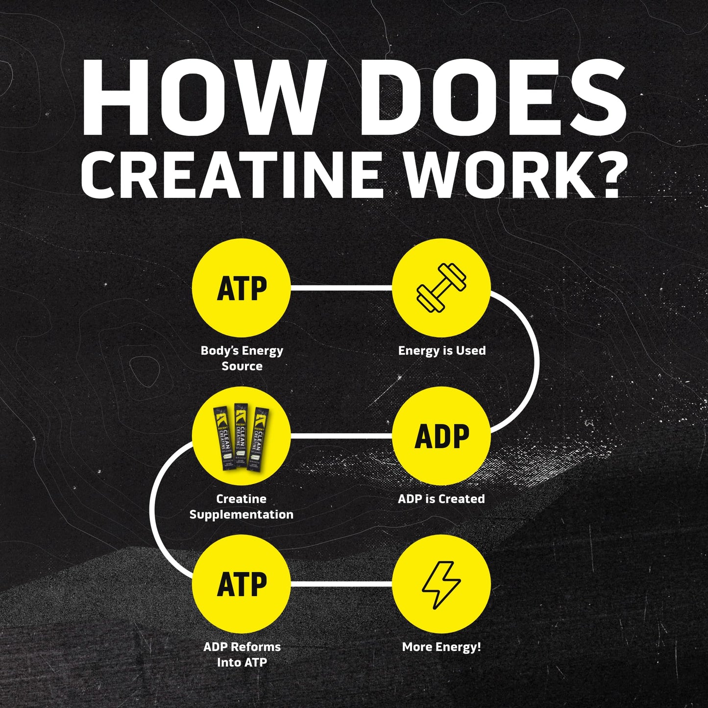 Ascent Clean Creatine Monohydrate Powder Unflavored 15 Servings