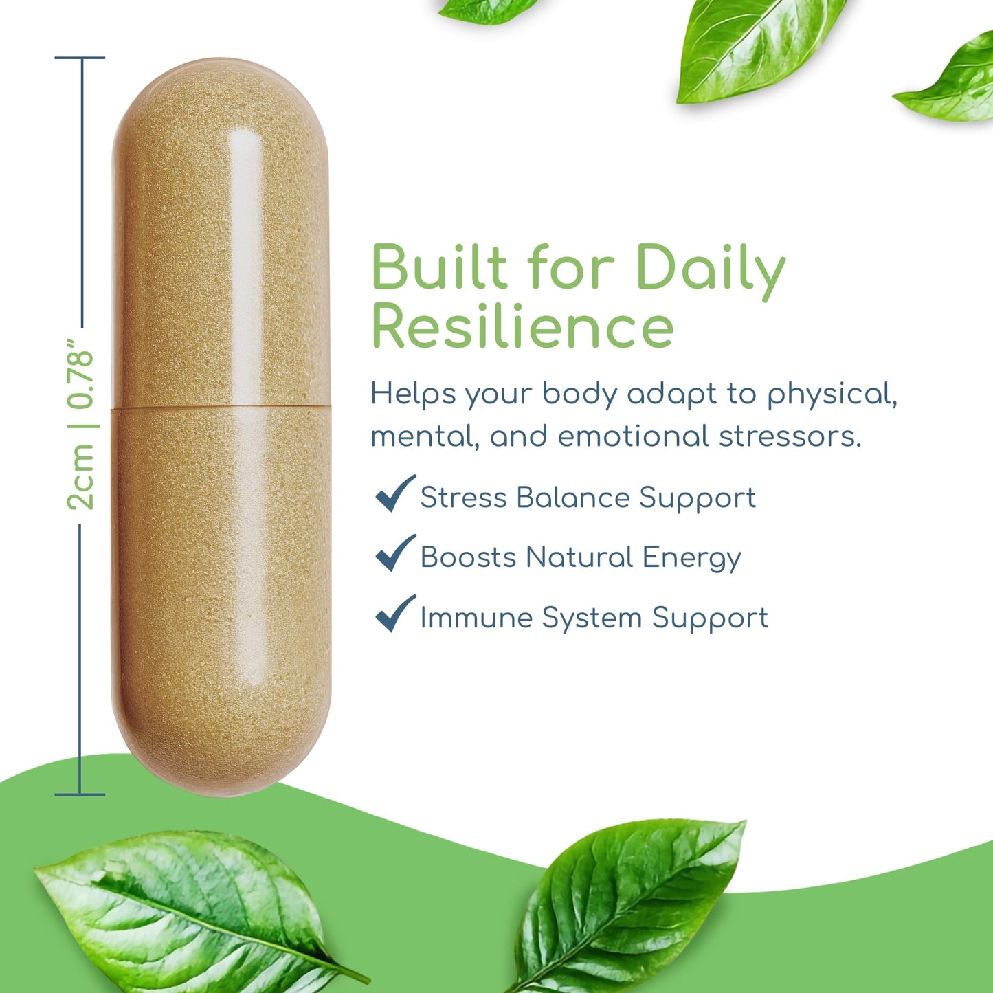 Return Healthy Adaptogen Immune Capsule, 120 Capsules