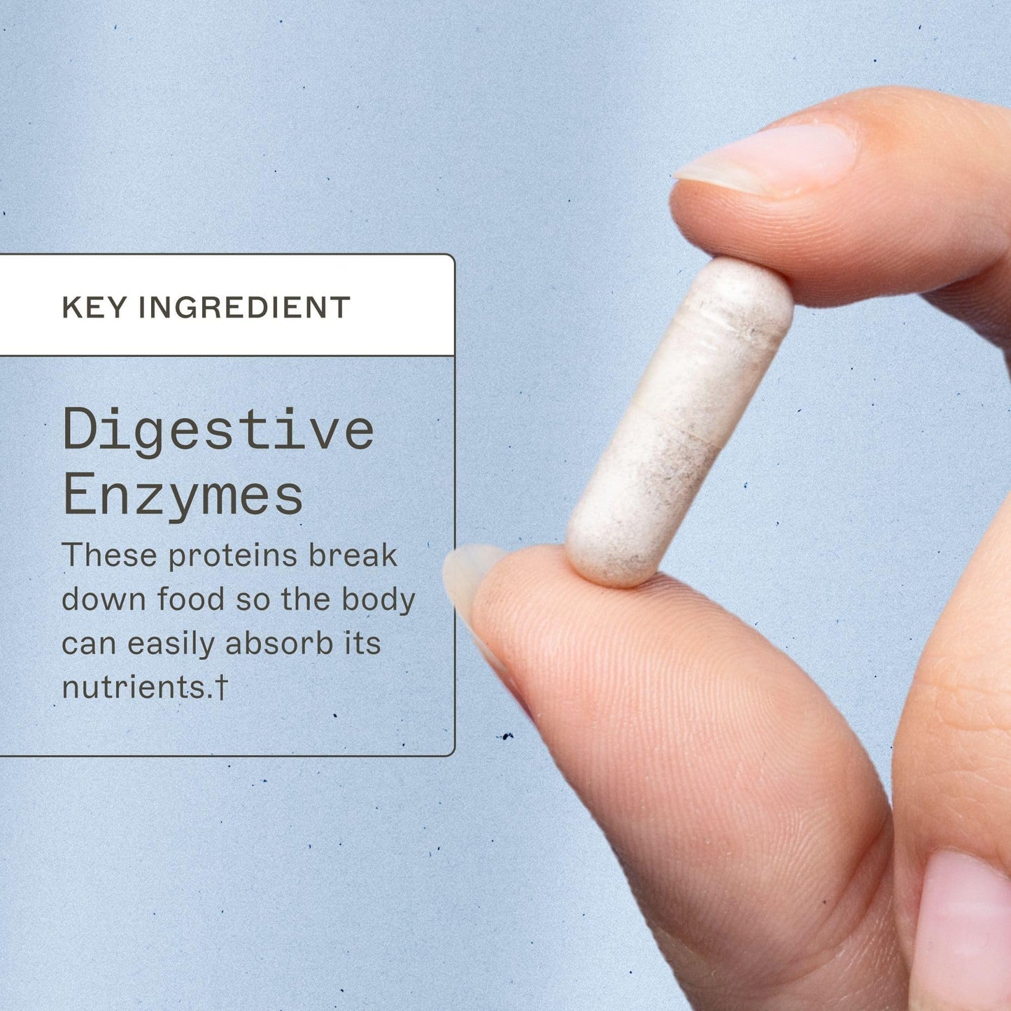 Amy Myers MD Complete Enzymes Capsules 120 Count