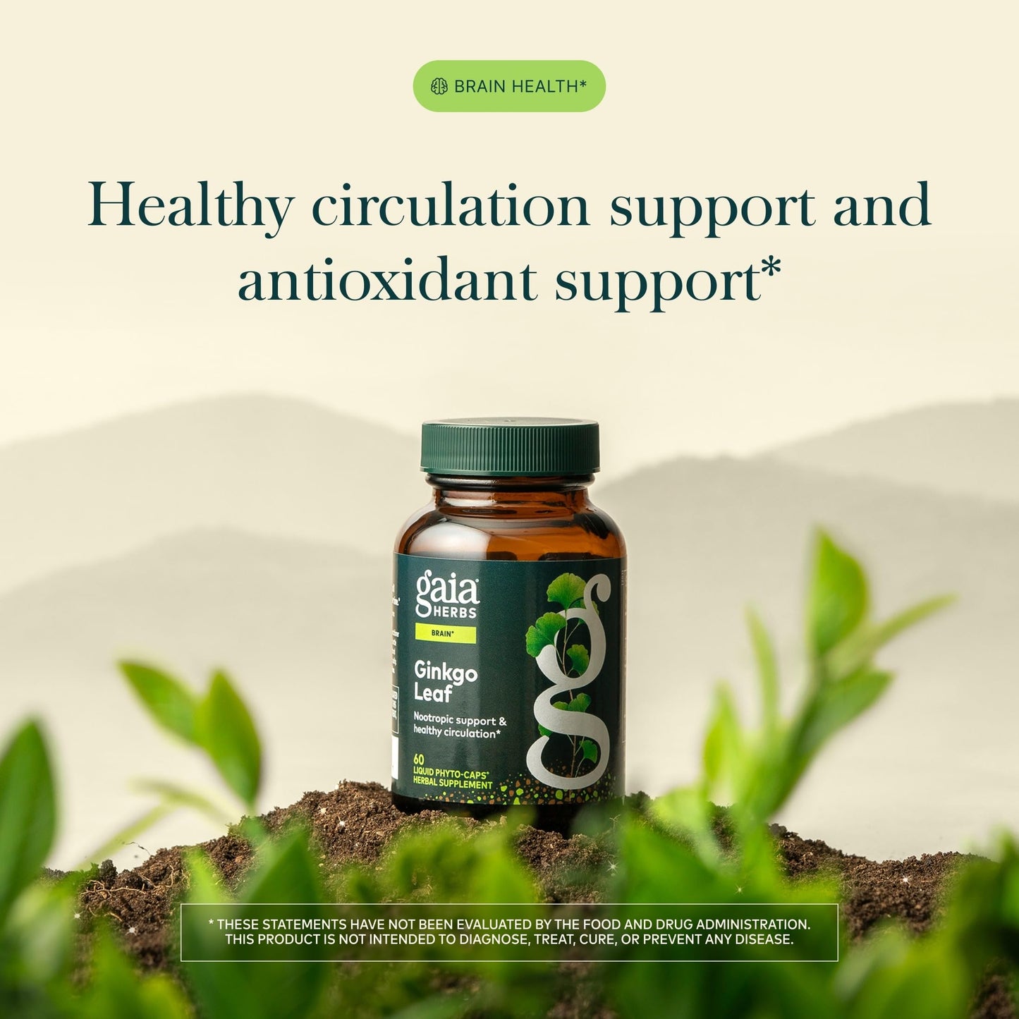 Gaia Herbs Ginkgo Leaf Herbal Supplement Capsules 60 Count