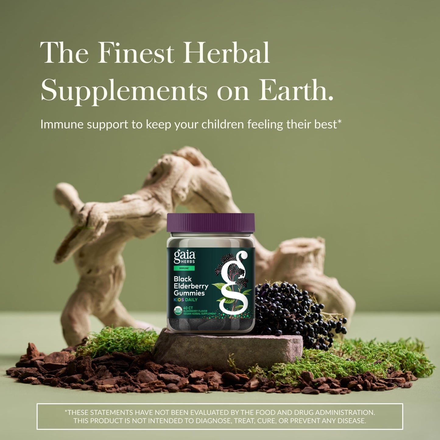 Gaia Herbs Black Elderberry Daily Gummies for Kids Capsules 40 Count