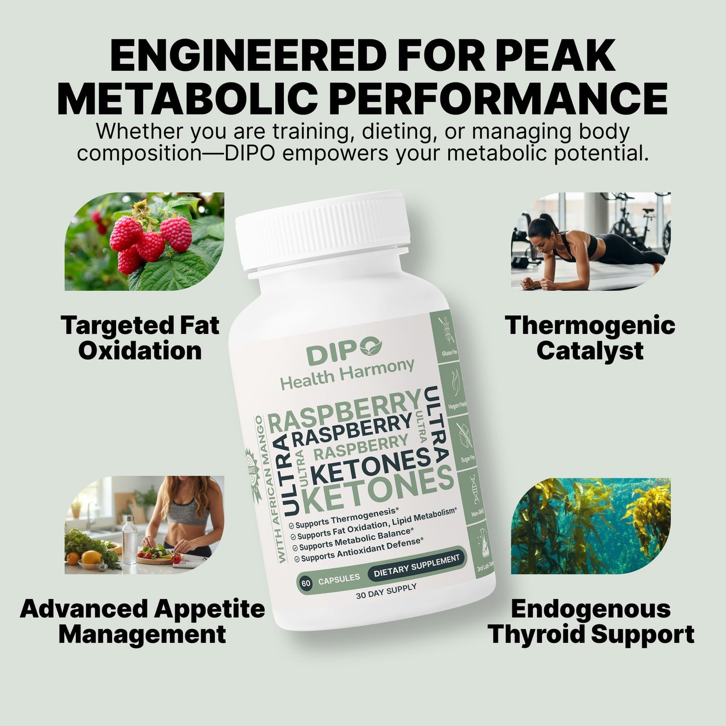 DIPO HEALTH HARMONY Raspberry Ketones Ultra 500mg with African Mango Seed, Green Tea Extract & Apple Cider Vinegar - Metabolism & Healthy Weight Management Supplement, 60 Capsules