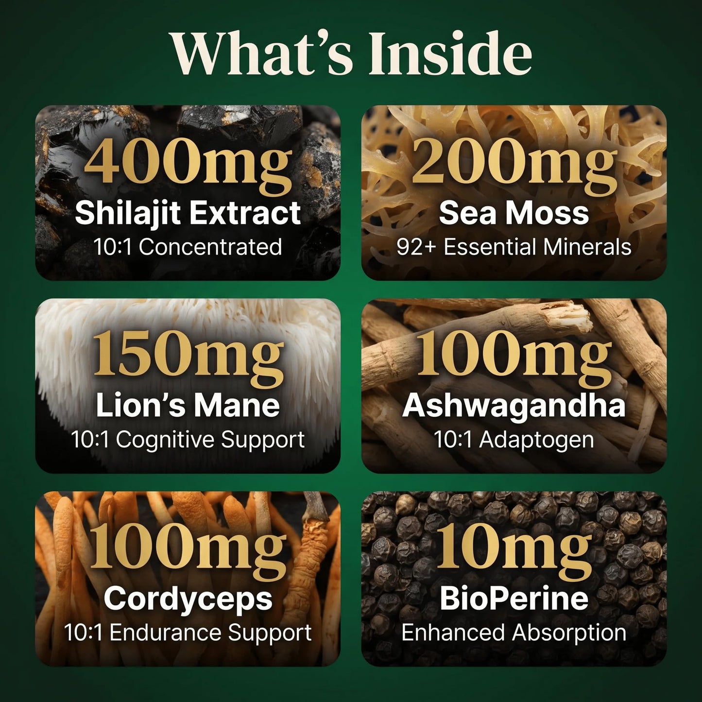 PURETREX Shilajit Sea Moss Lions Mane Ashwagandha Cordyceps 6-in-1 Mushroom Complex with BioPerine Capsules, 400mg Shilajit Extract, 120 Count
