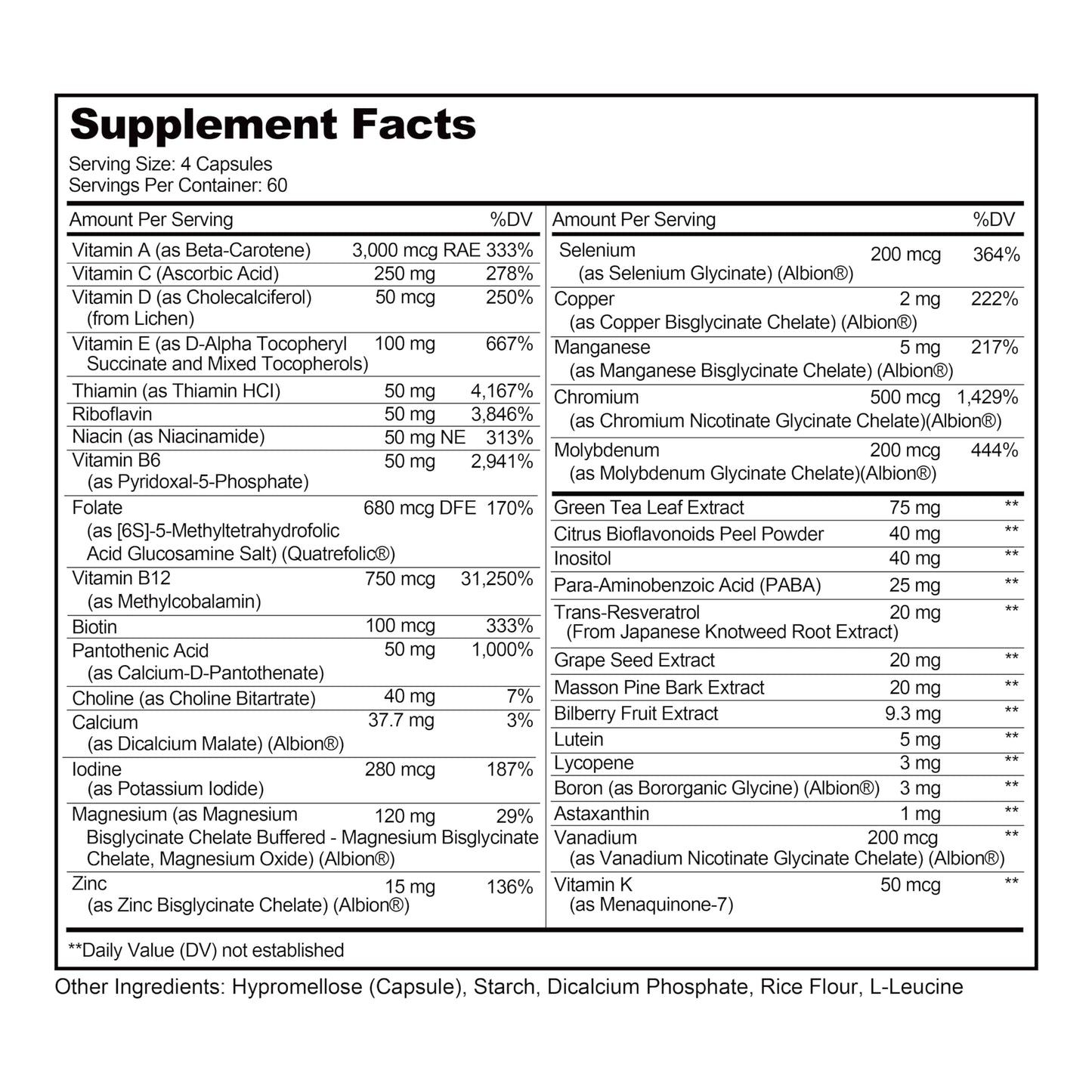 LIVELY VITAMIN CO Multivitamin Capsule 240 Count