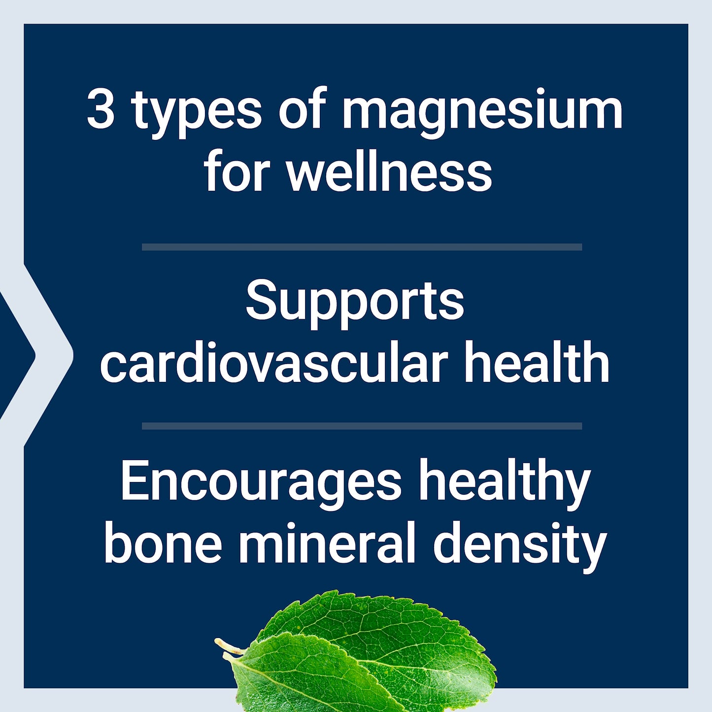 Life Extension Magnesium Caps 500 mg Magnesium Succinate, Heart Health, Healthy Bones, Metabolism Support, 200 Vegetarian Capsules