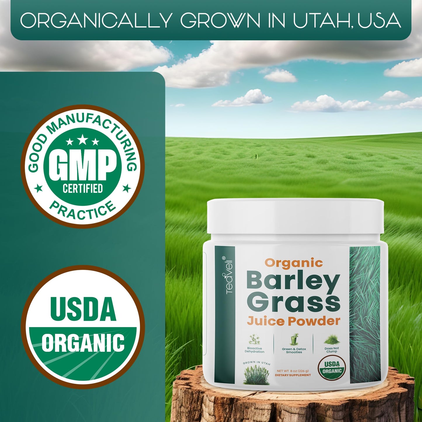 Teaveli Organic Barley Grass Juice Powder, Raw Utah Grown, 8 oz