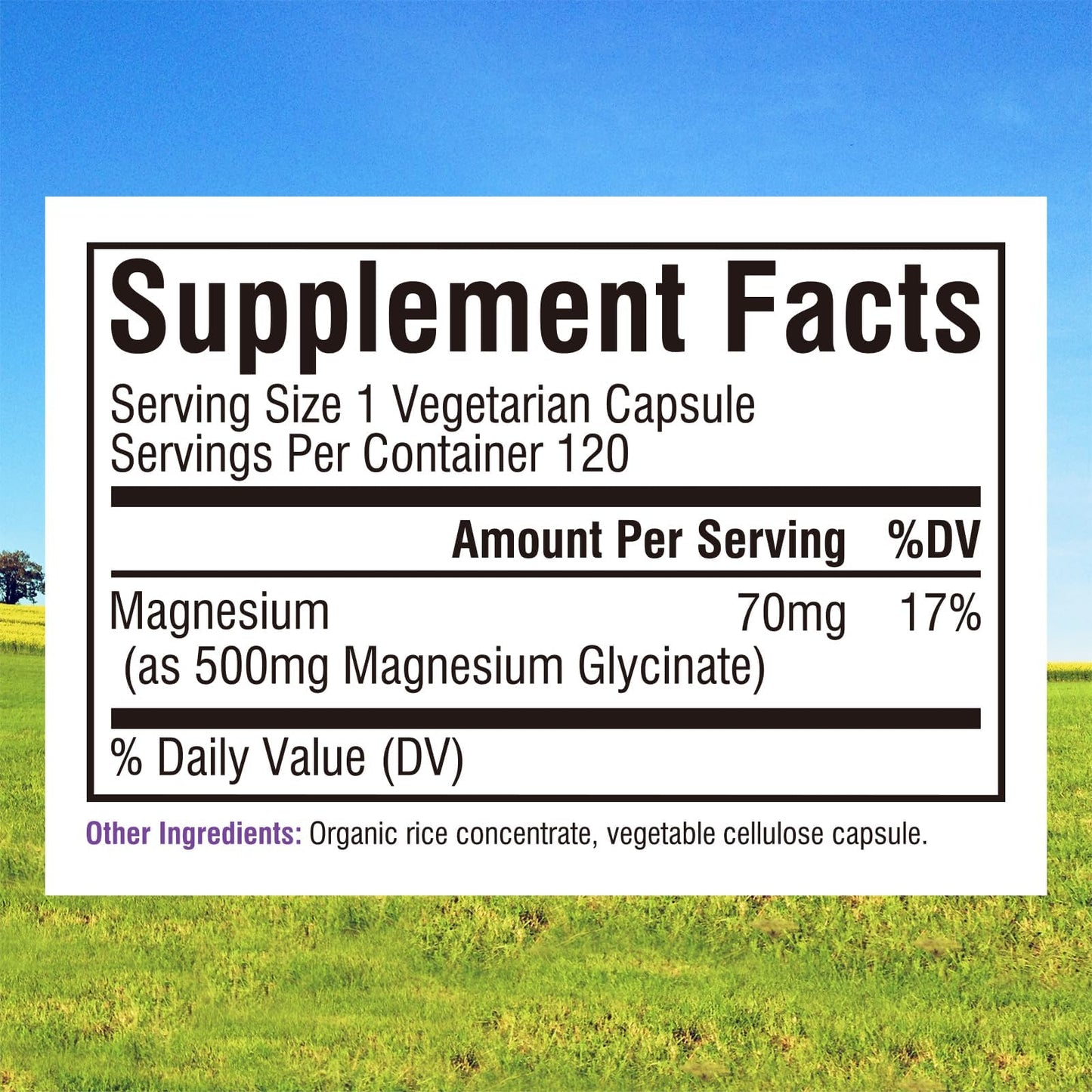 Innate Vitality Magnesium Glycinate 500mg Capsule, 120 Capsules