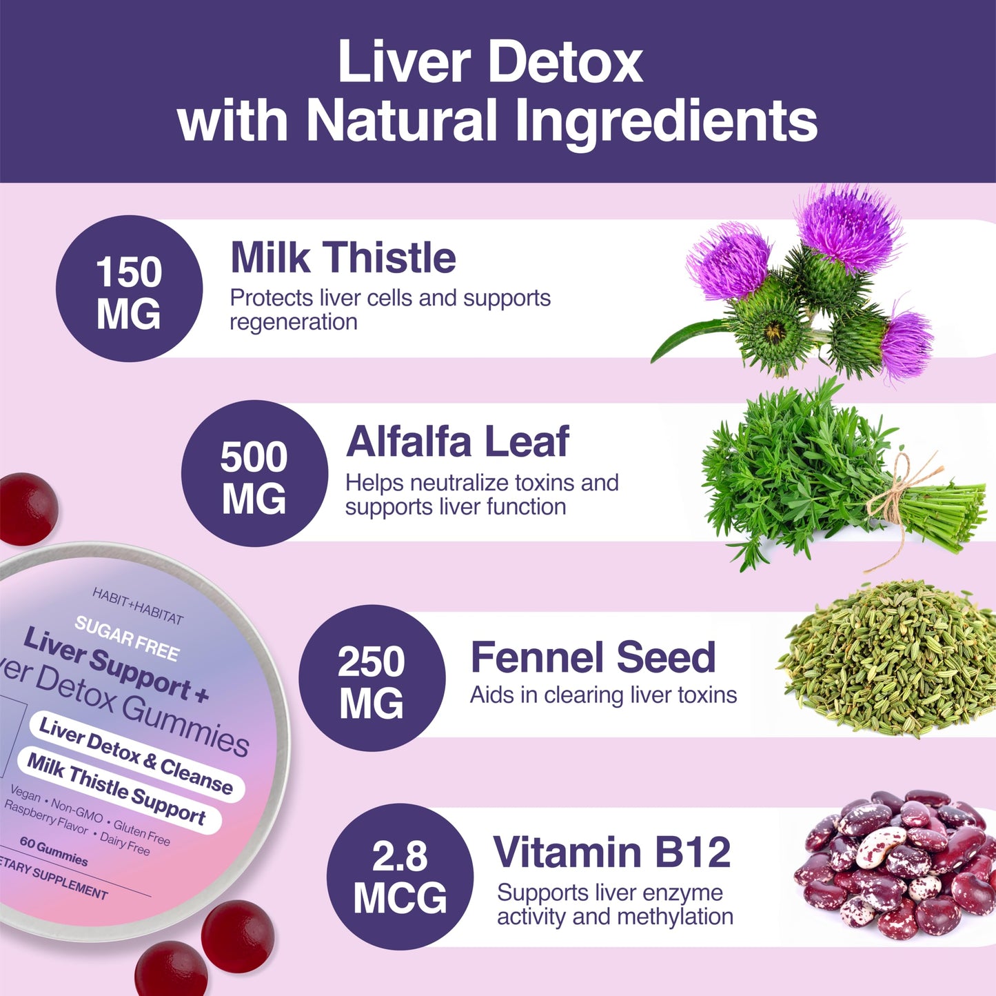Habit + Habitat Liver Support Plus with Milk Thistle, Alfalfa Leaf, Vitamins D3 and B12 Advanced Formula Gummy 1 Count