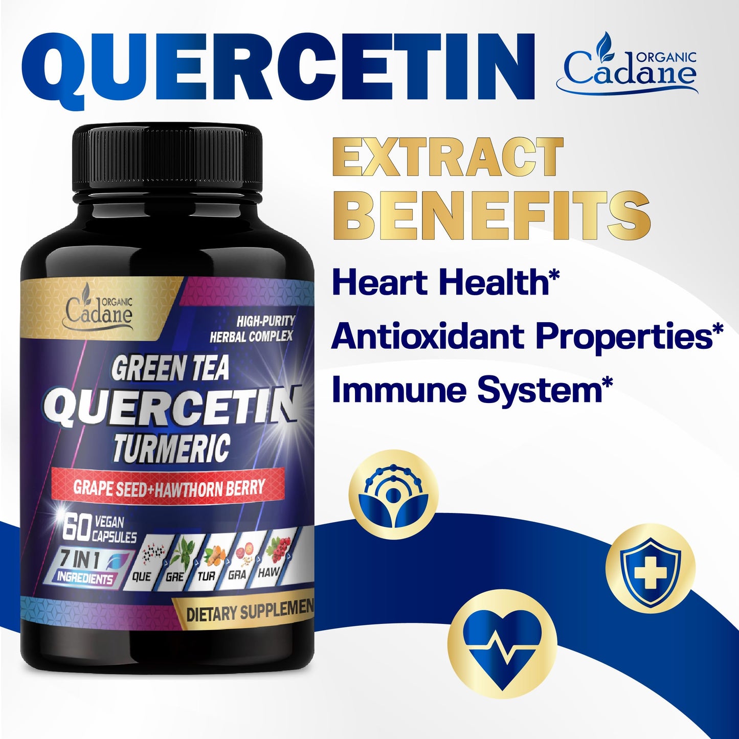 Organic Cadane Quercetin Supplements Capsule 60 Count