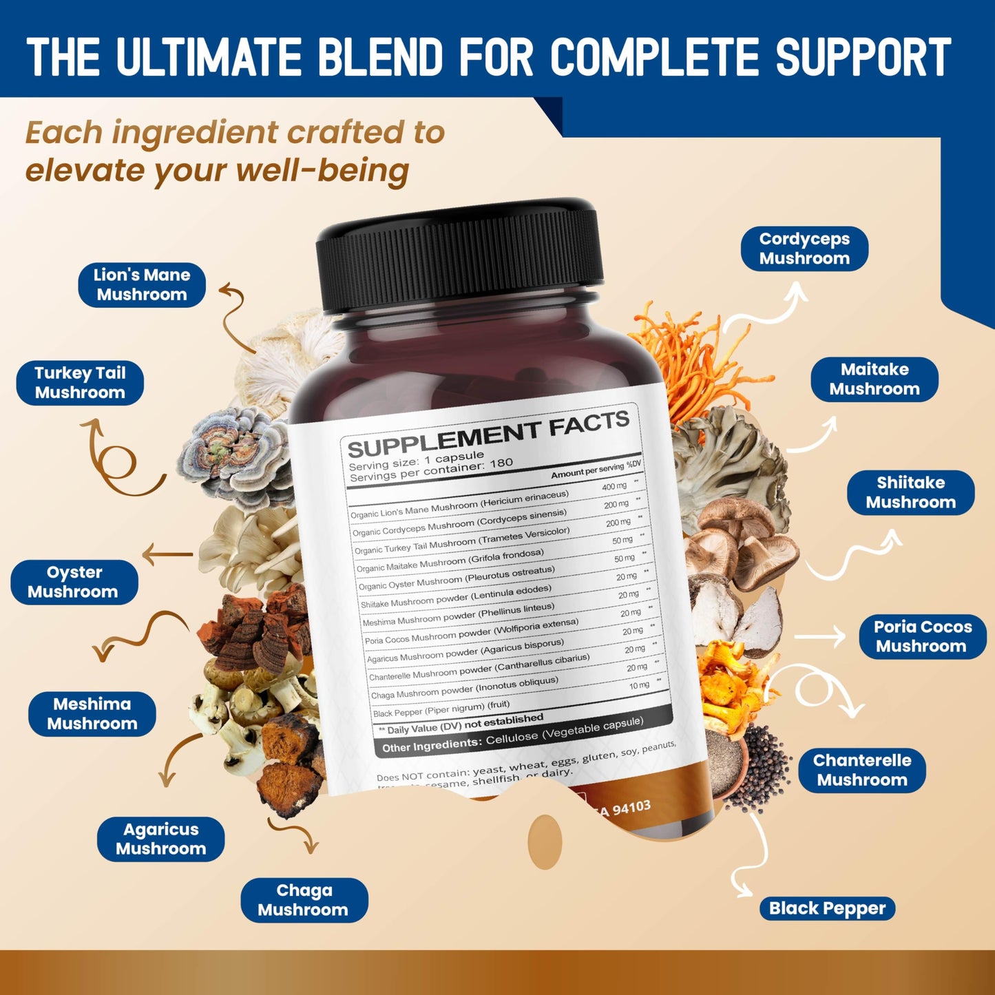 HarmoVira Organic Mushroom Complex with Lion's Mane, Cordyceps & Turkey Tail – Brain, Memory & Immune Support – Capsules, 150 Count