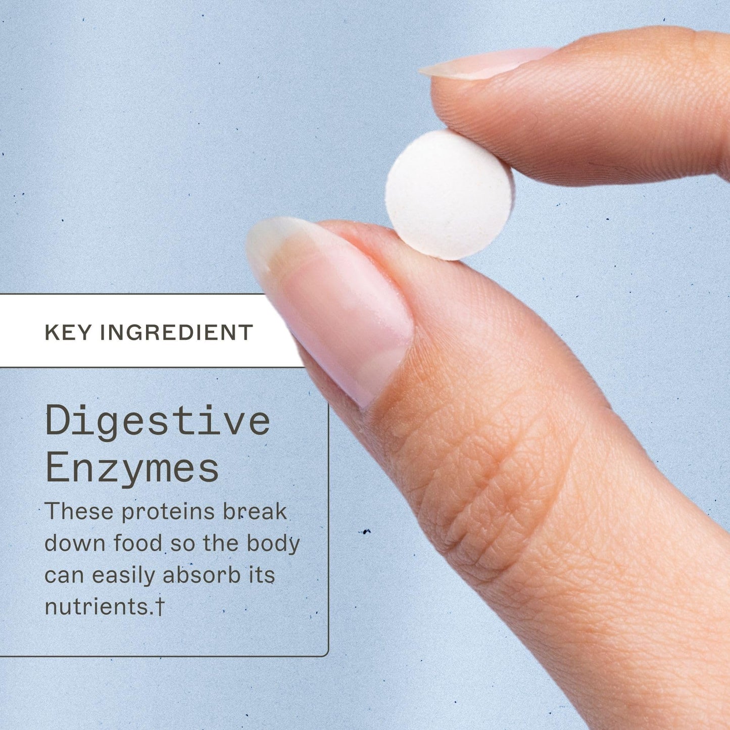 Amy Myers MD Digestive Enzymes 180 Tablets