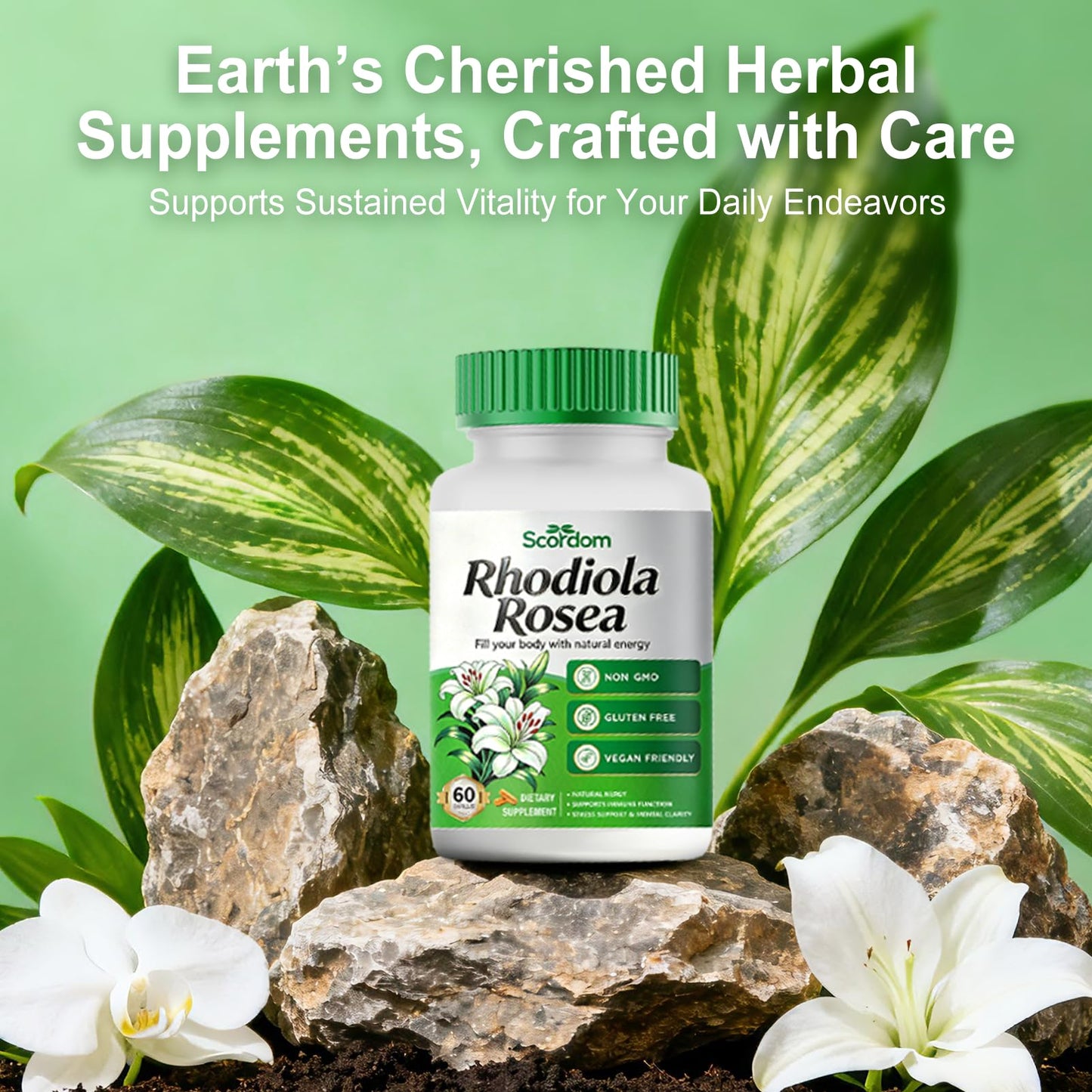 SCORDOM Rhodiola Rosea Supplement –Rhodiola Rosea Extract Powder Alternative with Salidroside for Stress Support - Energy, Focus & Performance Capsule 1