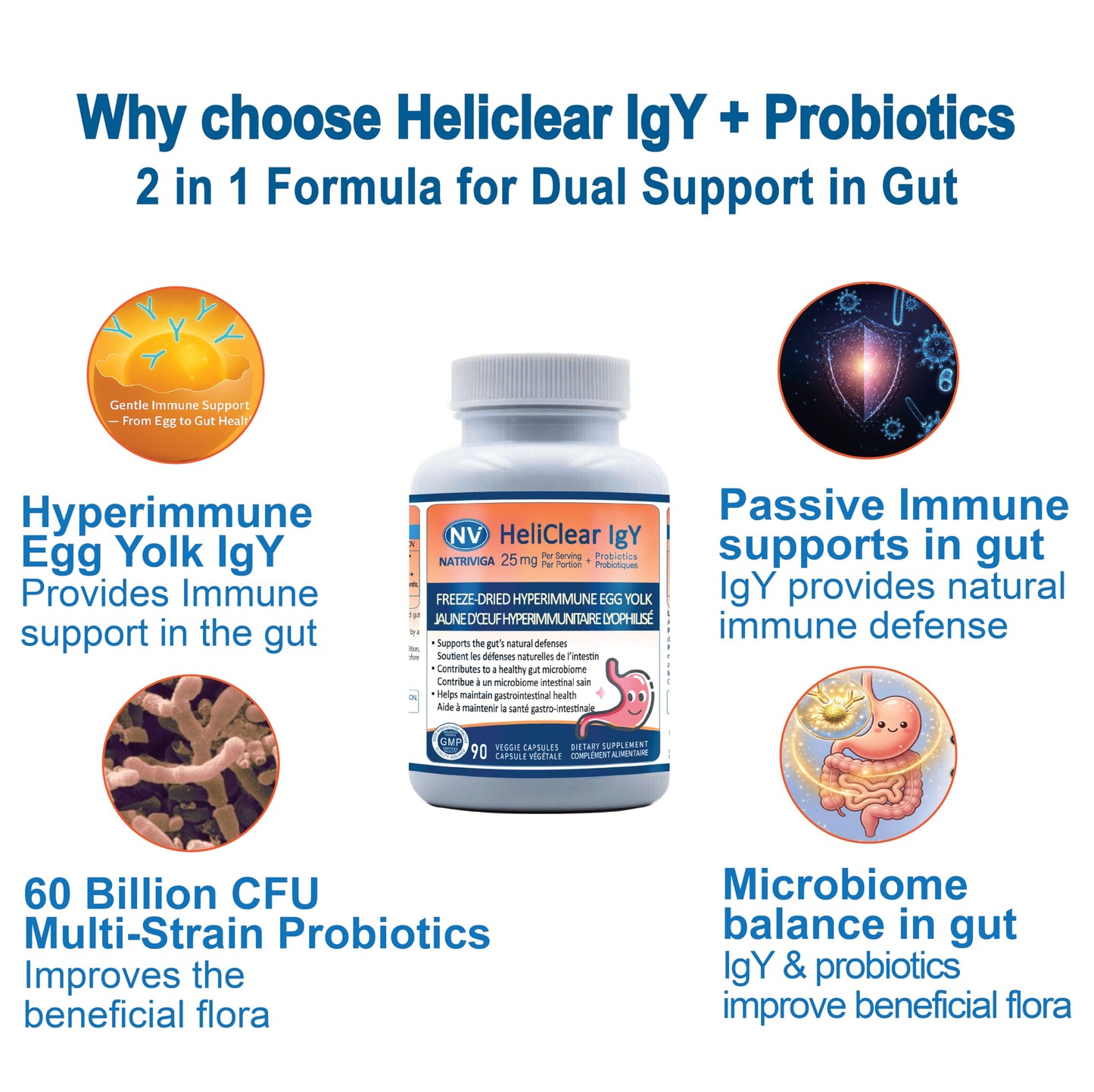 NATRIVIGA Heliclear IgY Immunoglobulins + Probiotics – Dual-Action Formula for Premium Immune & Gut Health Support – Freeze-Dried Hyperimmune Egg Yolk Extract with 60 Billion CFU, 90 Capsules