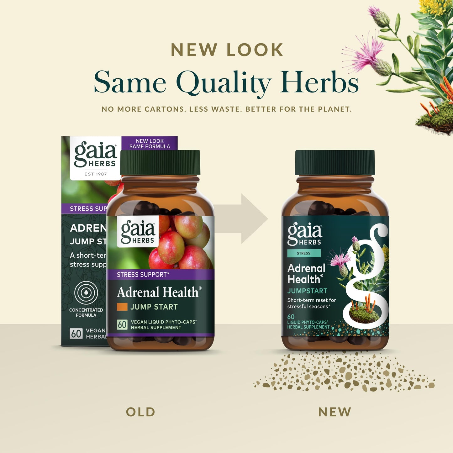 Gaia Herbs Adrenal Health Jumpstart Capsules 60 Count