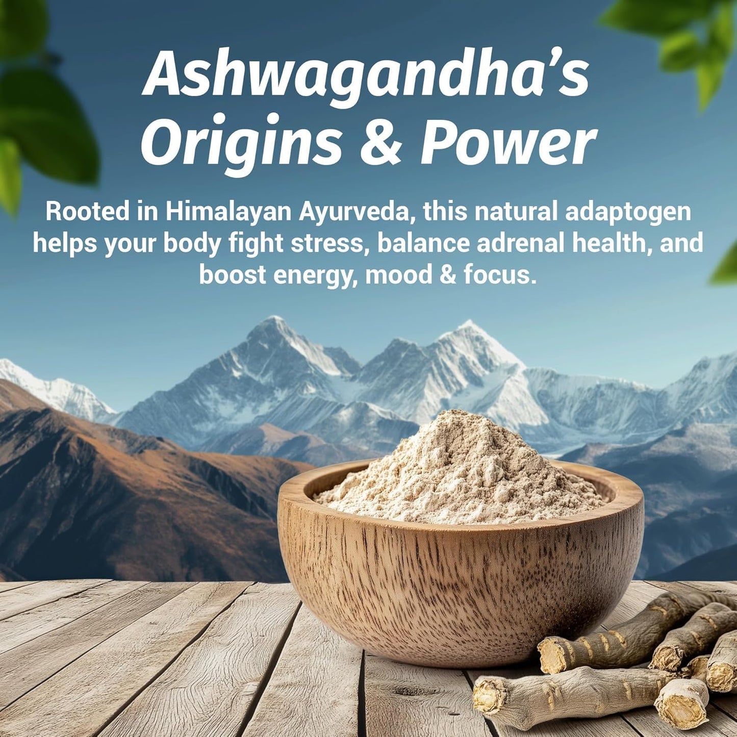 1 Body Ashwagandha Complex Supplement, Focus and Energy Support, 120 Capsules