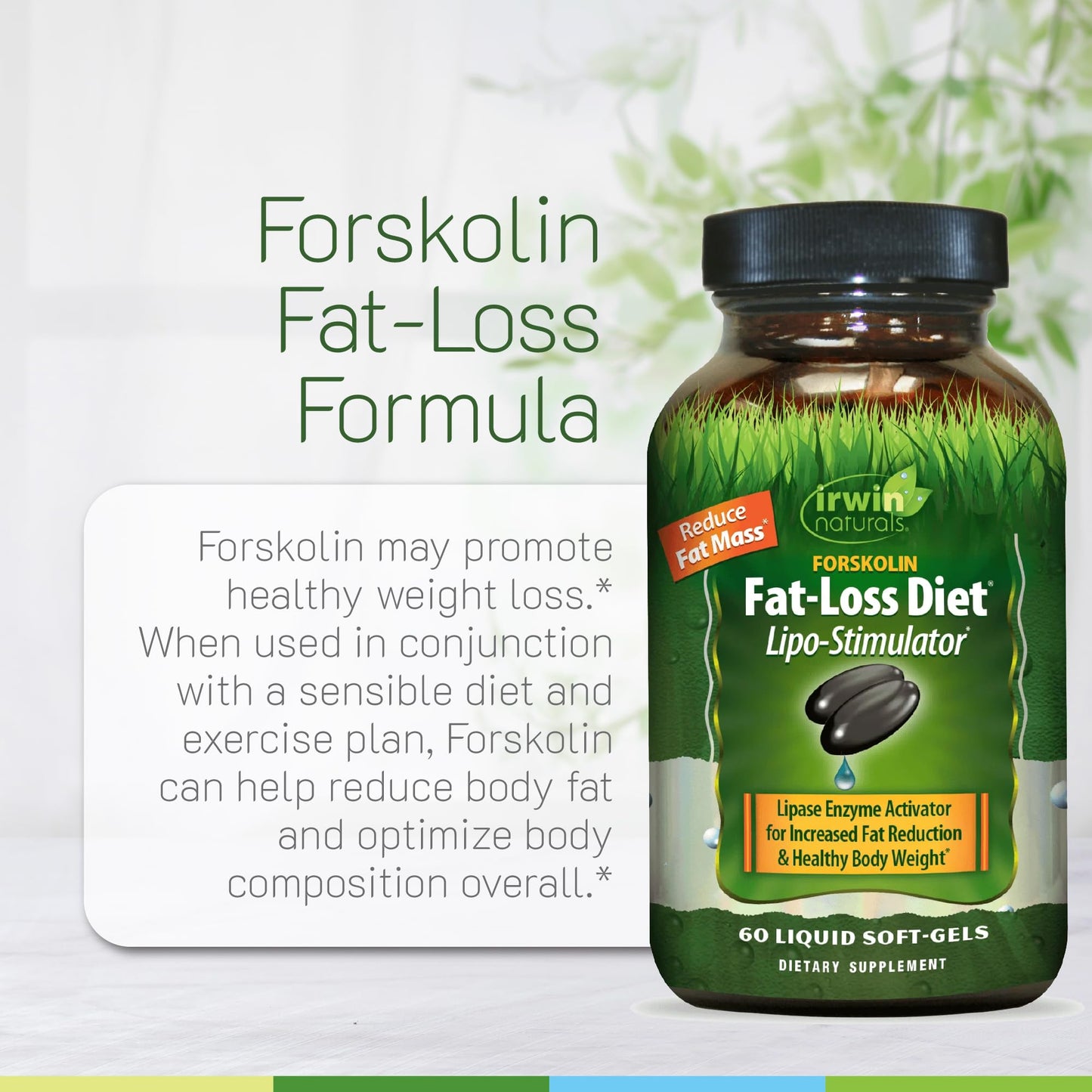 Irwin Naturals Forskolin Fat Loss Diet Supplement Softgels, 60 Count
