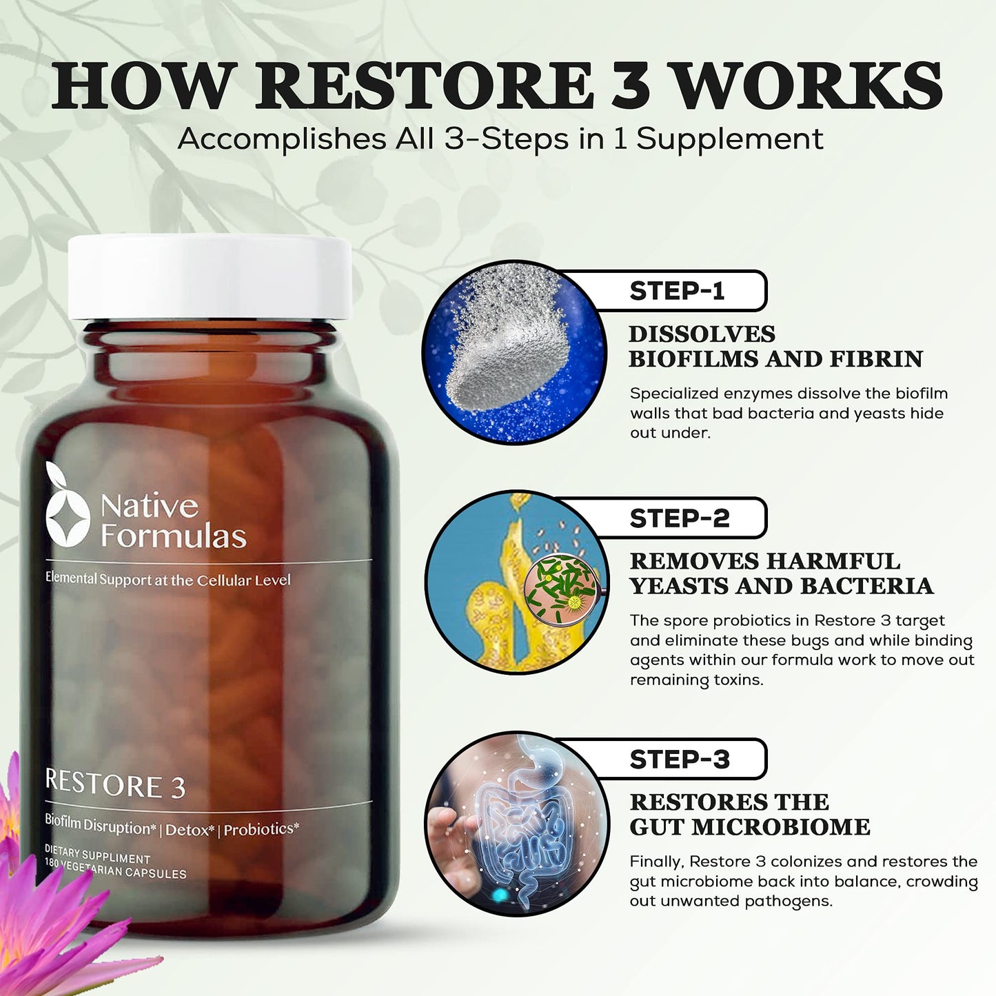 Native Formulas Restore 3 Proteolytic Enzyme & Spore Probiotic Blend, 60 Capsules