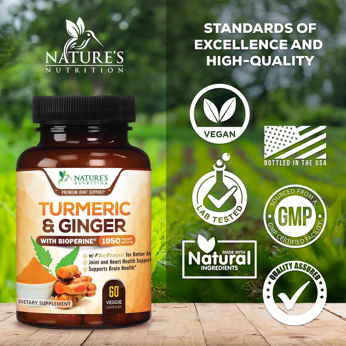 Nature's Nutrition Turmeric Curcumin Supplement Capsule, 60 Capsules