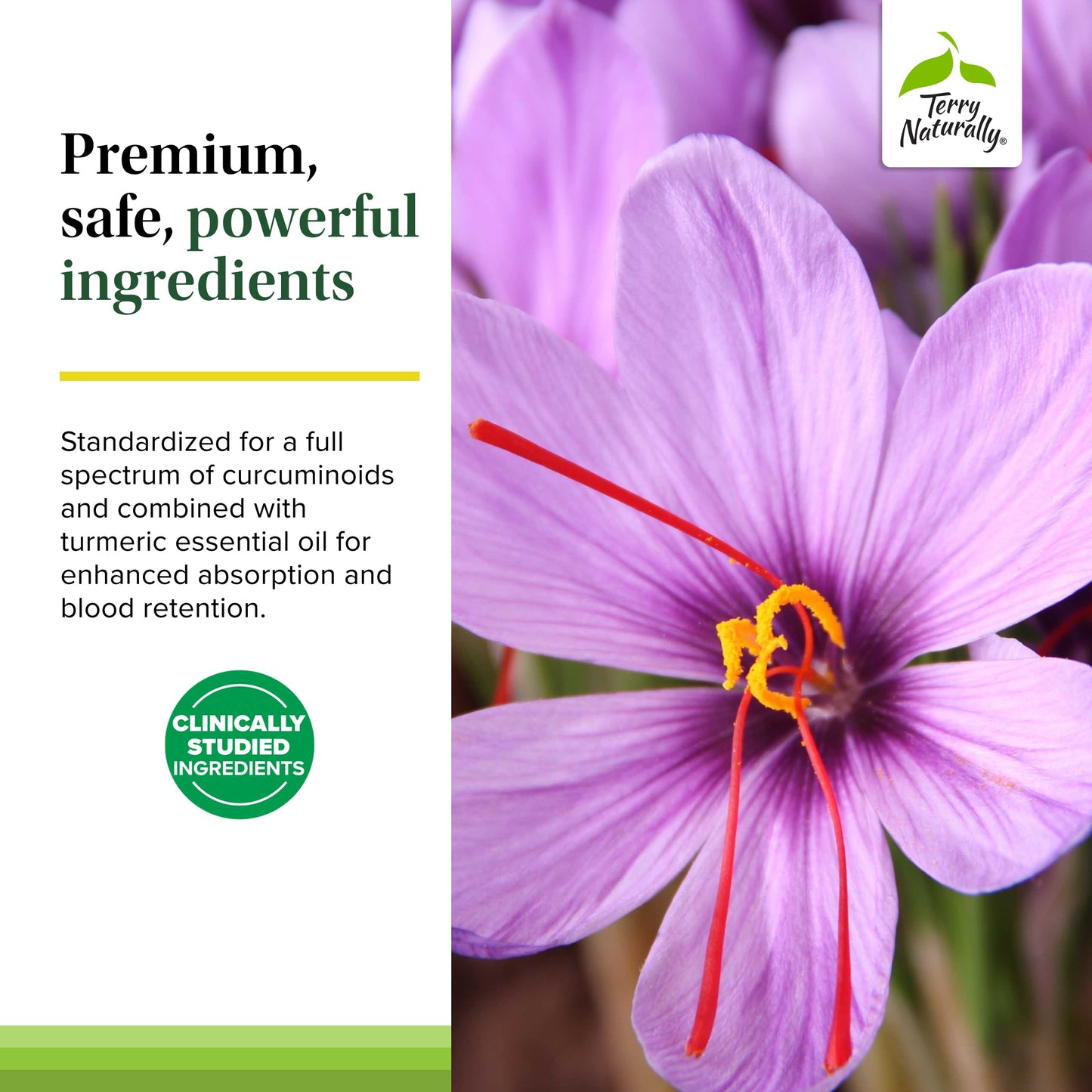 Terry Naturally Saffron Lift + Curcumin, 60 Capsules