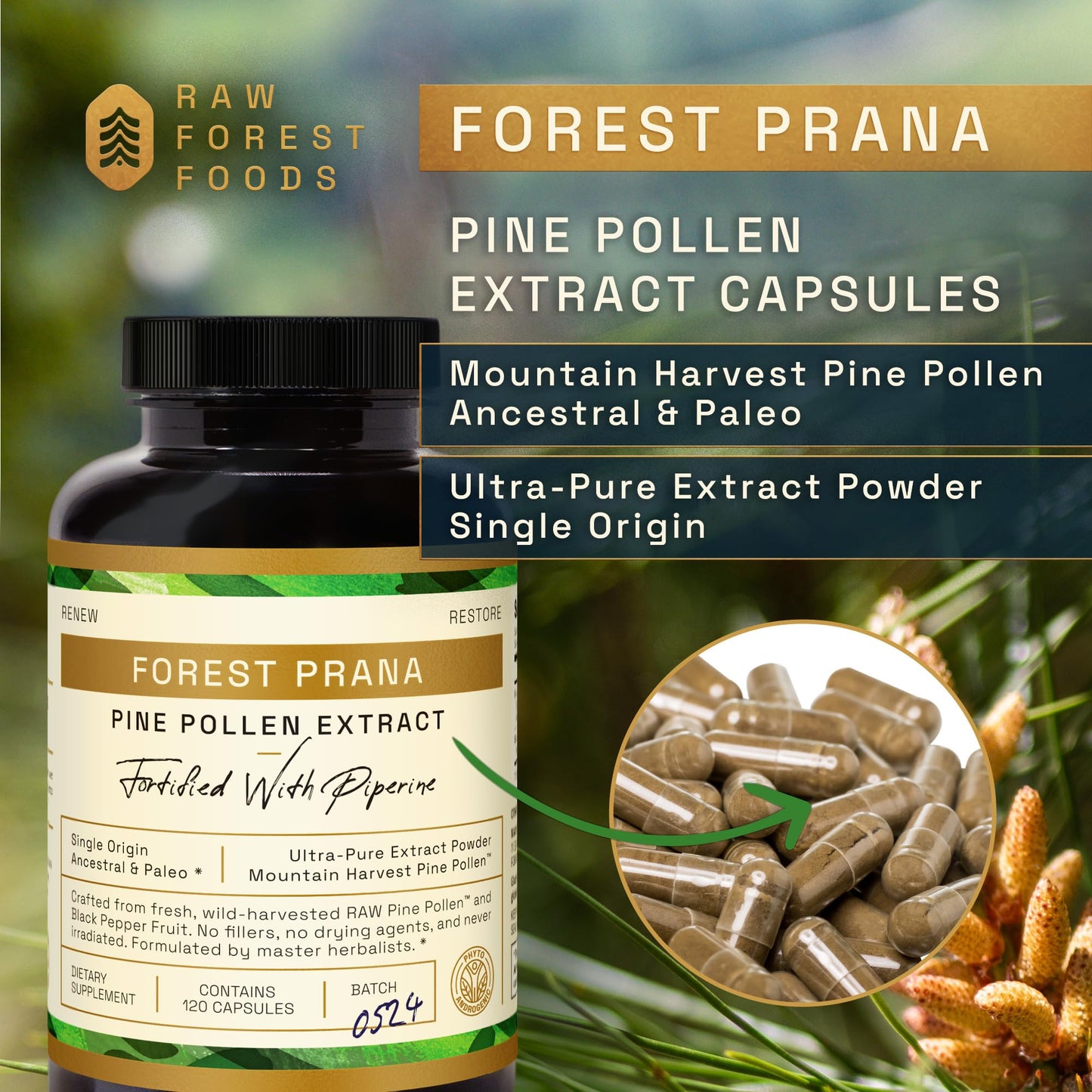 RAW Forest Foods Pine Pollen Extract Capsules, 120 Count