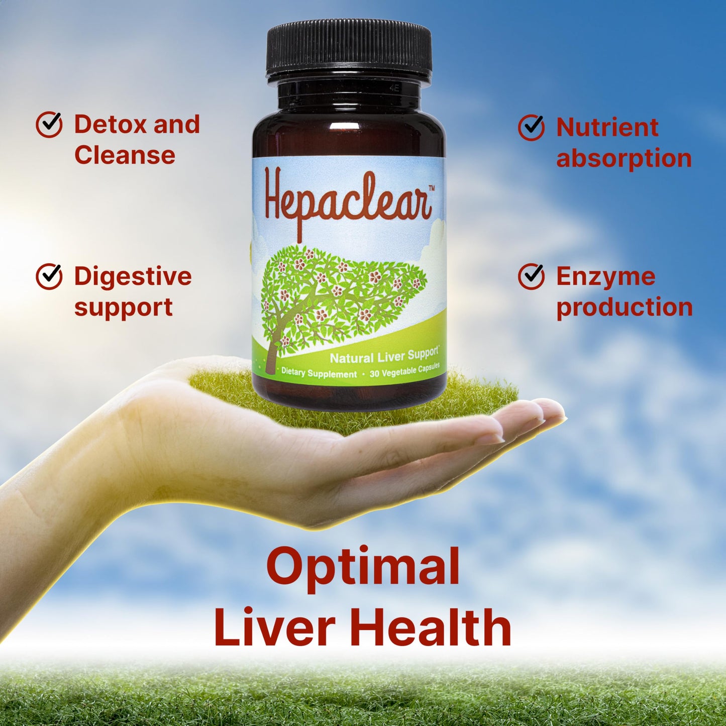 Hepaclear Natural Liver Support Supplement with Hesperidin Capsules, 30 Count