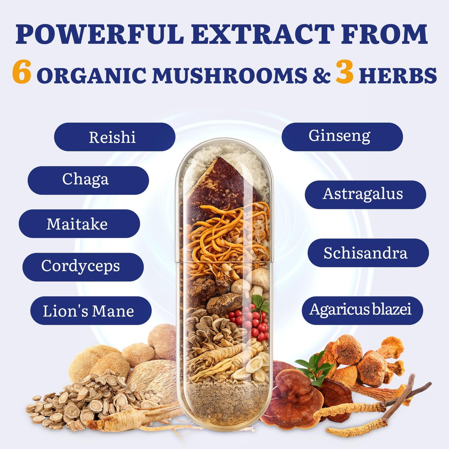 Yasumako Japanese Reishi Mushroom Complex Supplement 1500mg - Reishi, Chaga, Cordyceps, Lion's Mane, Maitake, Agaricus Mushrooms Extract & 3 Herb, Organic Mushroom Capsules, 120 Capsules