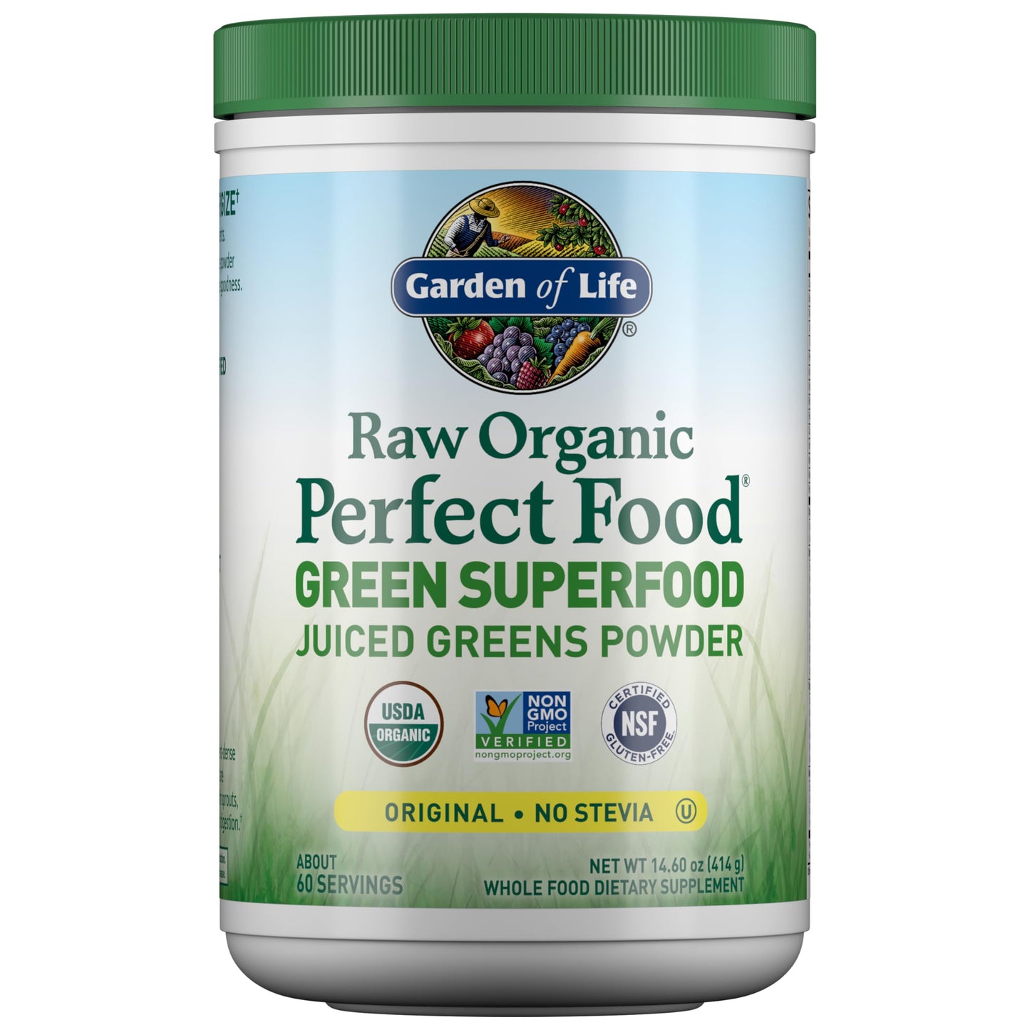 Garden of Life Raw Organic Perfect Food Superfood Juiced Greens Powder 14.6