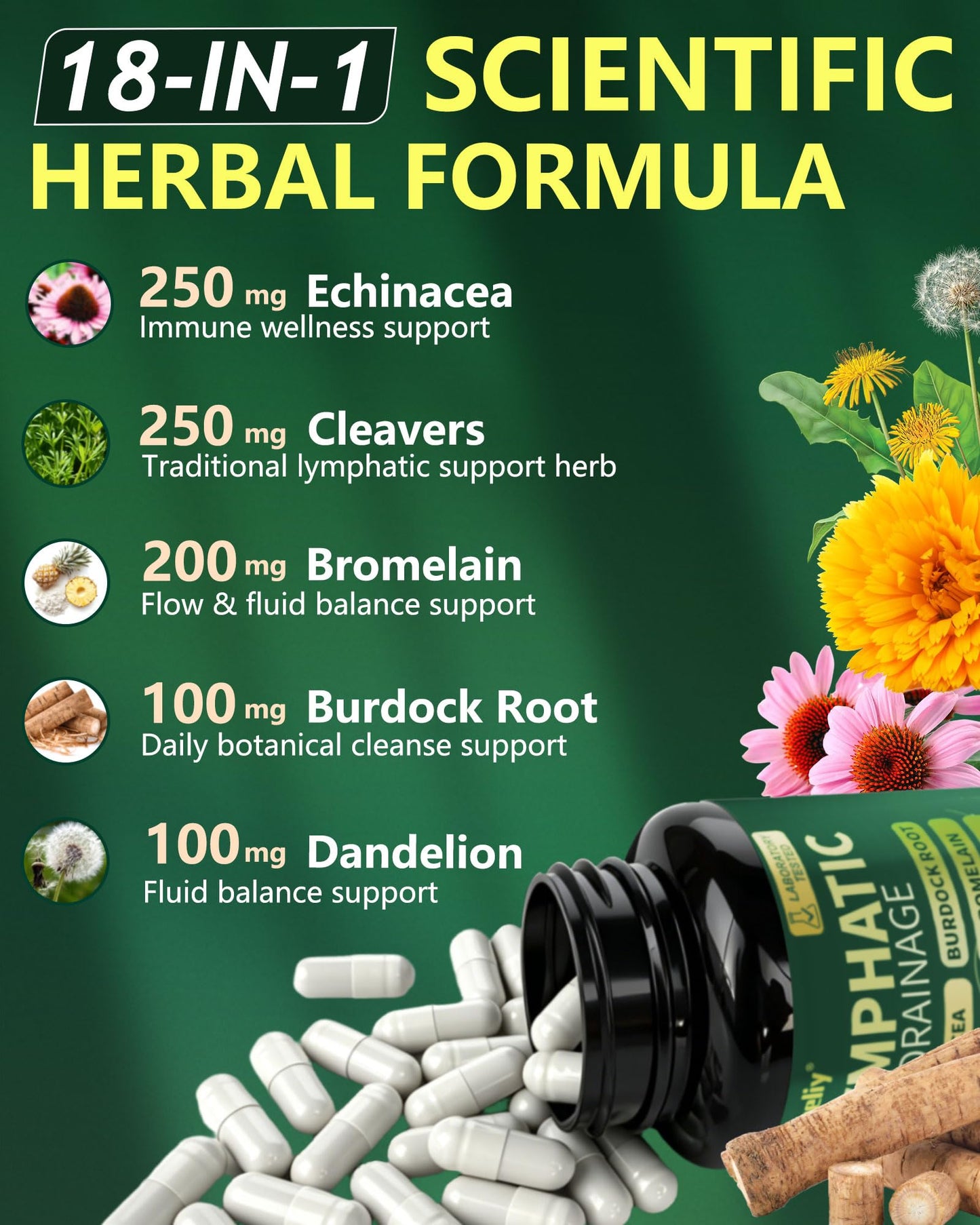 WOELIY Lymphatic Drainage Supplements With Echinacea & Cleavers Capsules, 120 Capsules