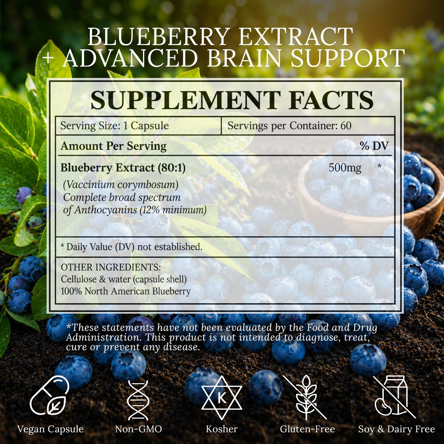 BioImmersion North American Blueberry Extract 500mg Capsules 60 Count