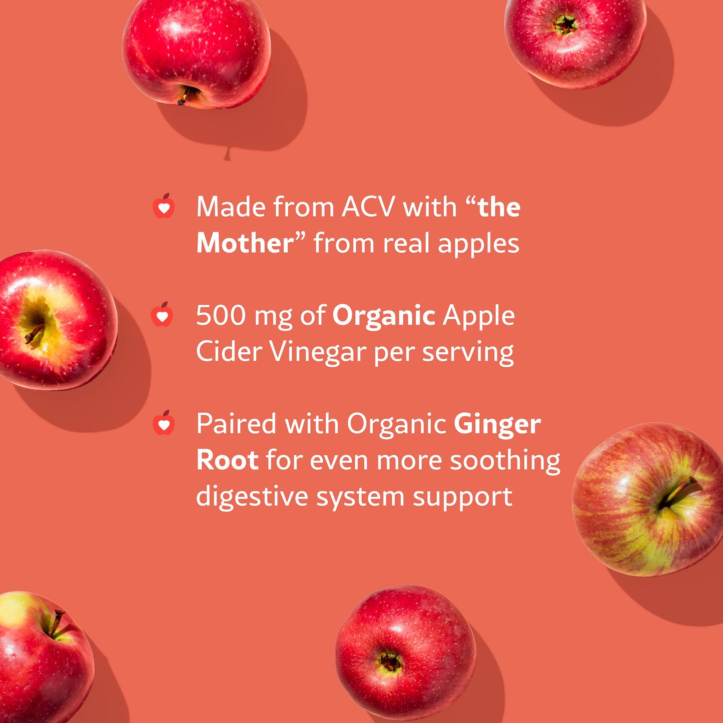 WellPath Apple Cider Vinegar with Mother Gummies & Lion's Mane Mind & Brain Support, 120 Gummies