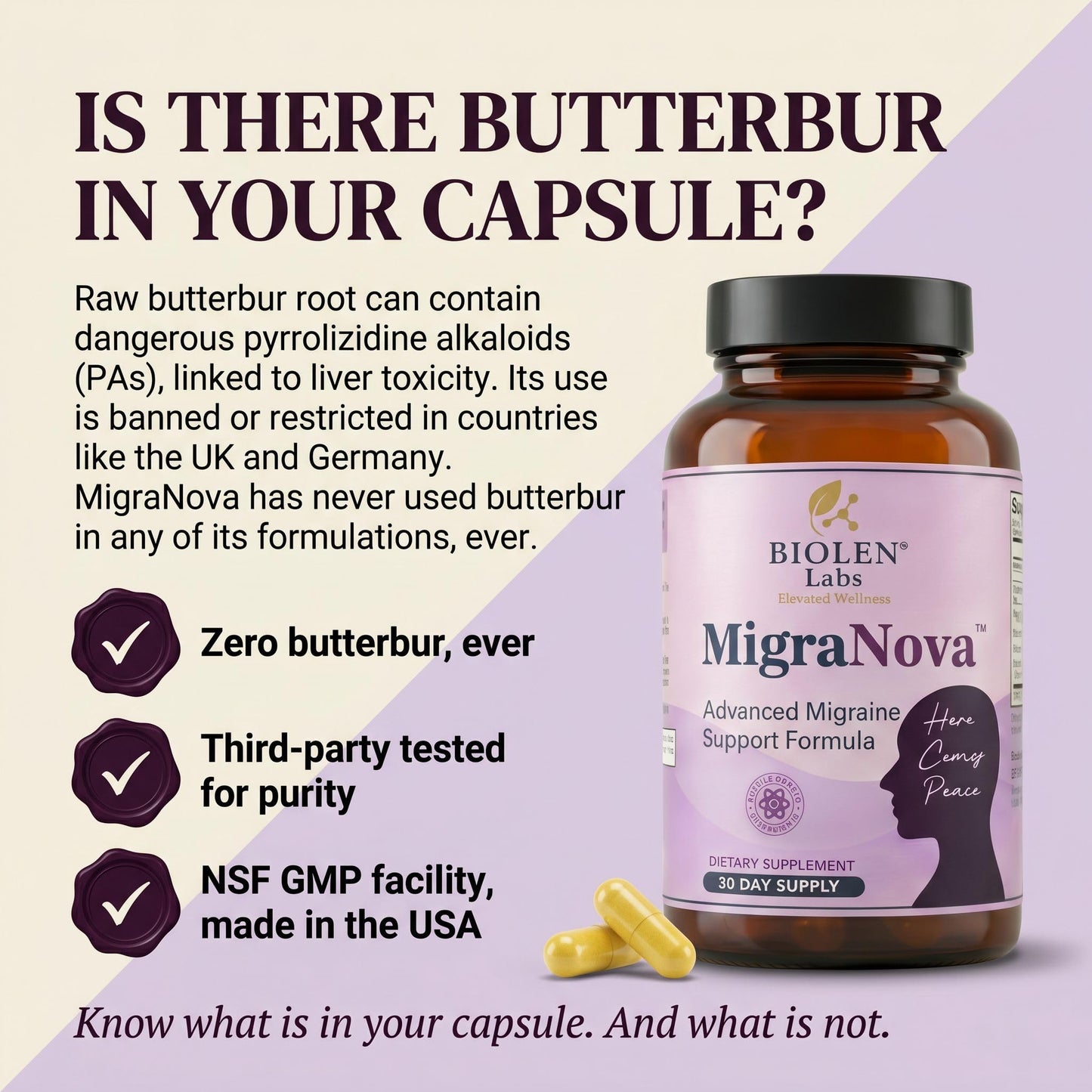 Biolen Labs Elevated Wellness MigraNova - Migraine Relief & Daily Prevention for Migraine Sufferers Capsules 120 Capsules