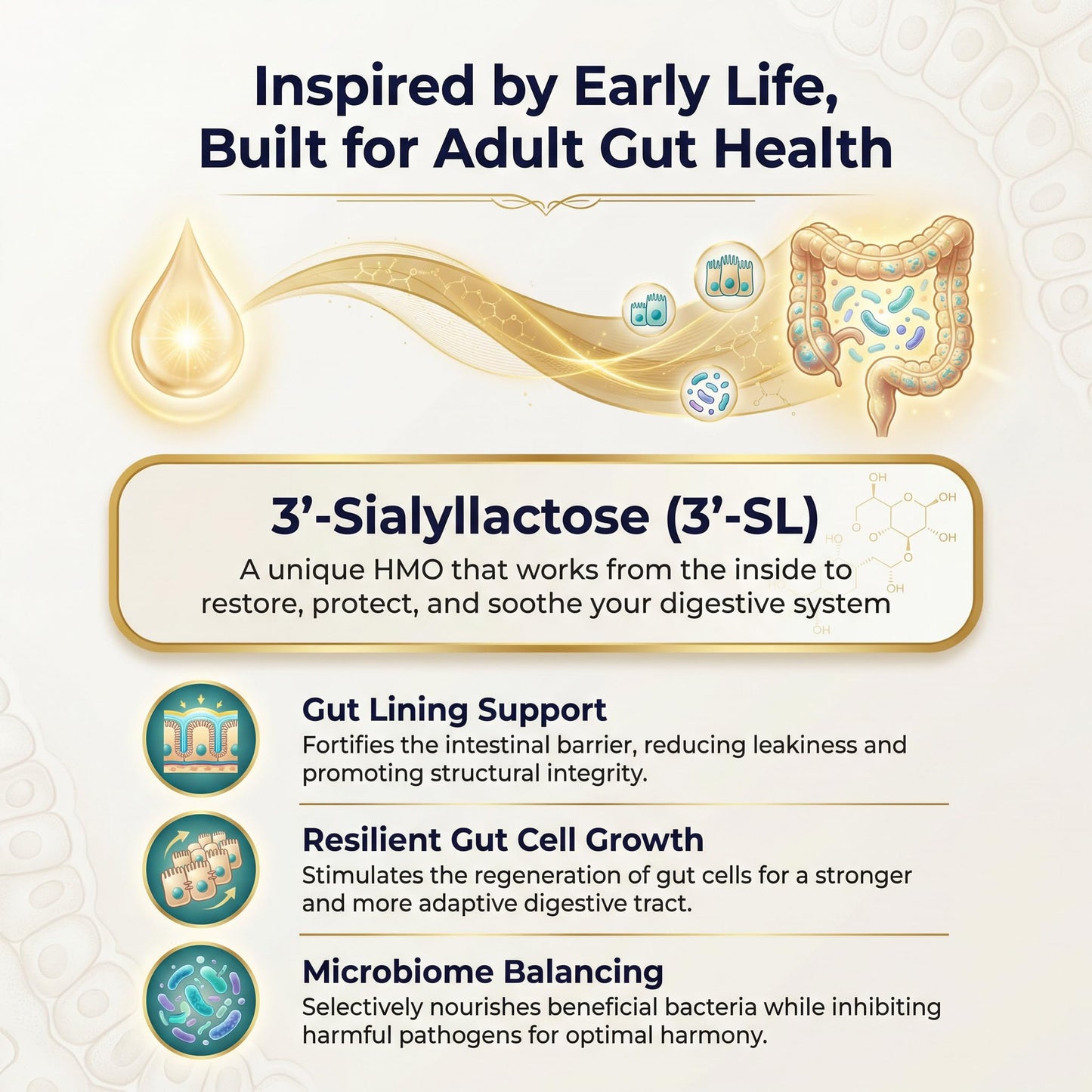 SIALLAC Gut Health - Gut Barrier Function, Epithelial Cell Growth, Immune Support, Enhances Nutrient Absorption, Microbiome Balance (HMO 3'-SL) 60 Tablets