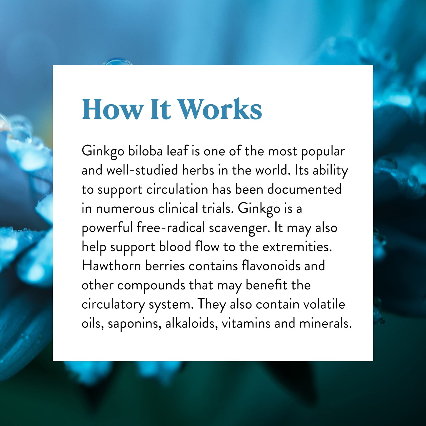 Nature's Sunshine Ginkgo and Hawthorn Combination Capsules 100 Count