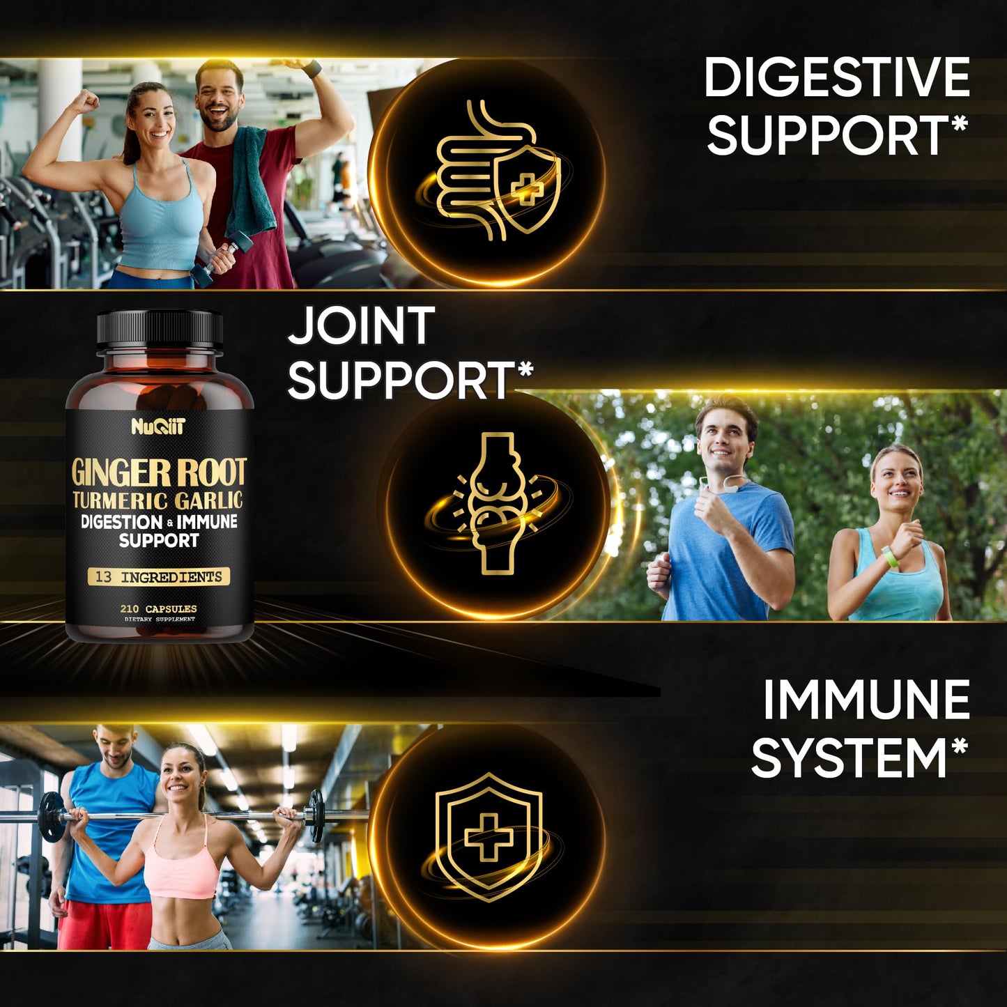NUQIIT Ginger Supplements Capsules with Turmeric Curcumin, Garlic Bulb, Berberine HCl, Echinacea, 210 Capsules