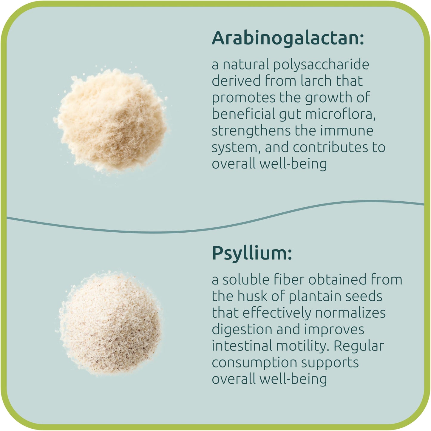 BiotaxX Psyllium Husk (Plantago ovata) + Arabinogalactan ≥95% – 660 mg, 60 Vegan Capsules