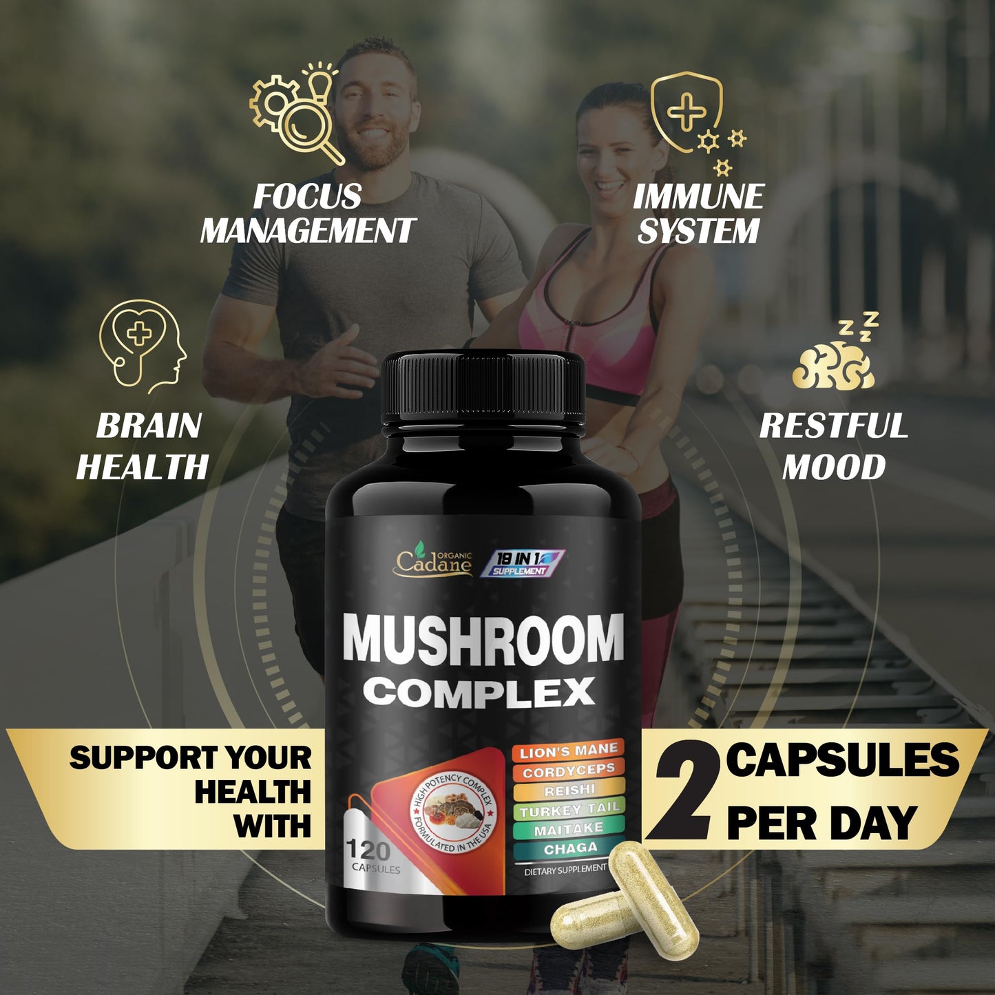 Organic Cadane Mushroom Complex Supplements 19in1 Concentrated with Lions Mane, Cordyceps Sinensis, Reishi, Turkey Tail Mushroom, Maitake, Chaga, Shiitake, Enoki, Agaricus, and More 120 Capsules