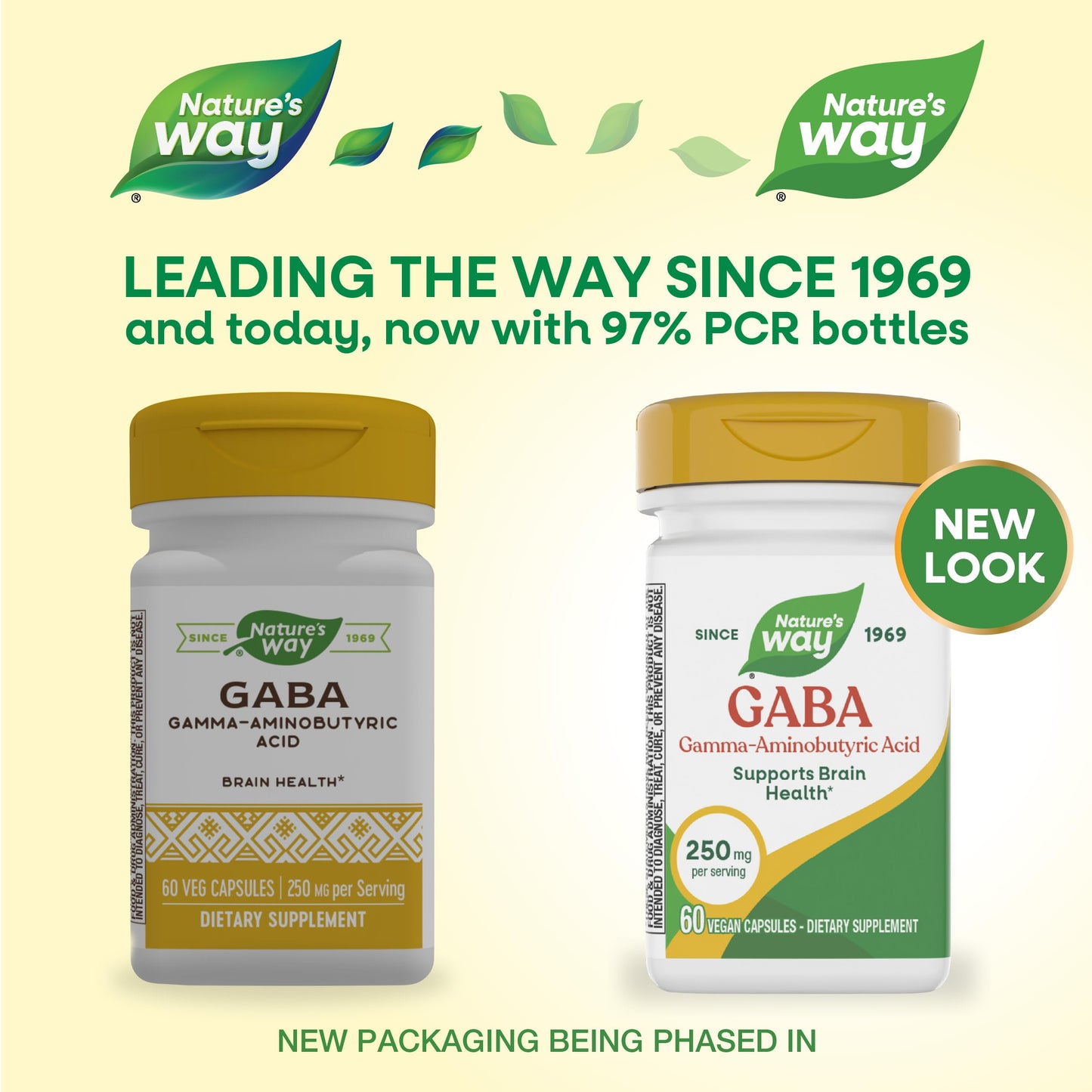 Nature's Way GABA, Gamma-Aminobutyric Acid Capsules, 60 Count