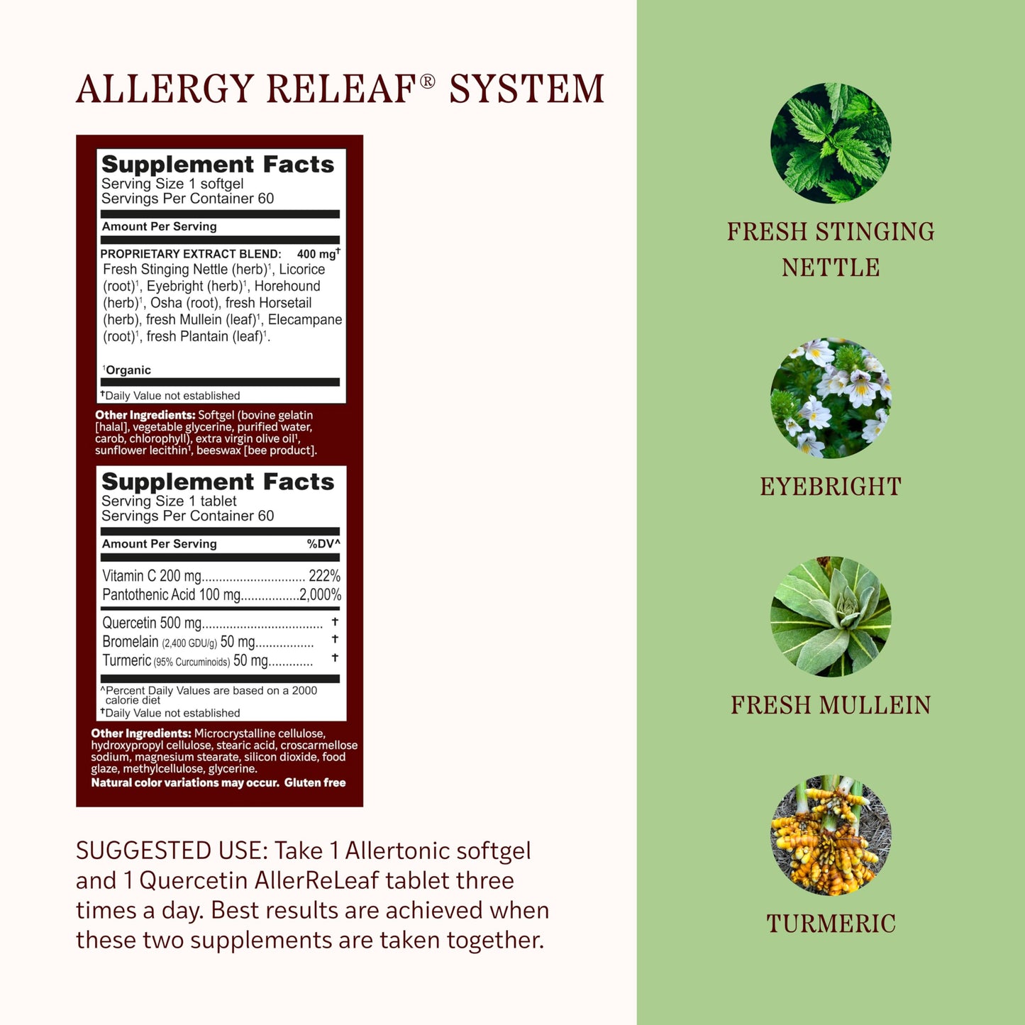 Herbs Etc. Allergy ReLeaf System Non-Drowsy Formula 60 Tablets
