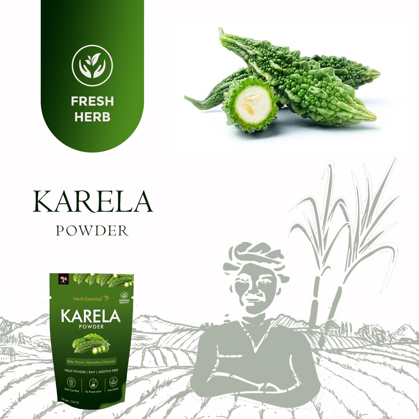 Herb Essential Karela (Bitter Melon) Powder 3.52 oz