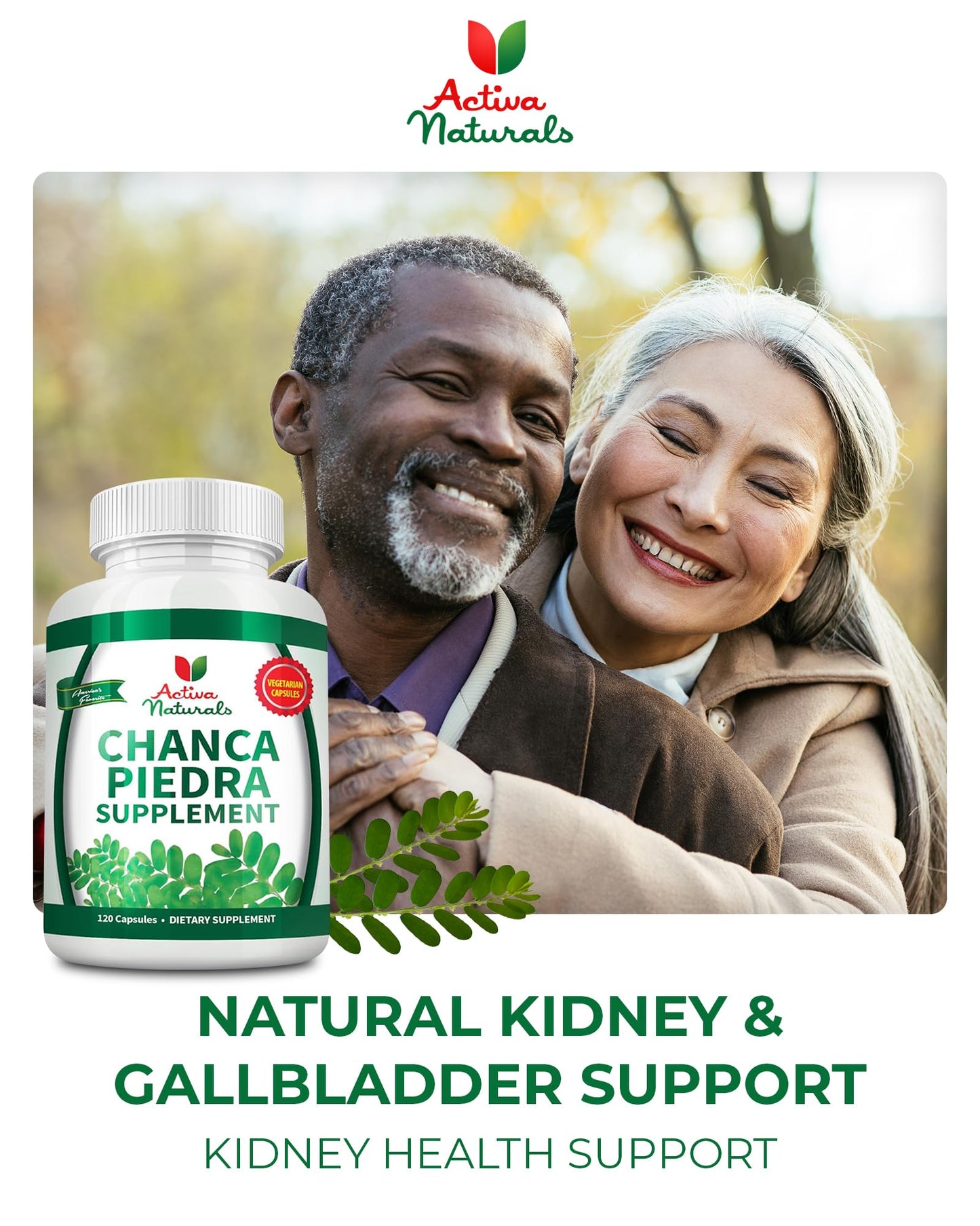 Activa Naturals Chanca Piedra 500mg Capsules, 120 Count