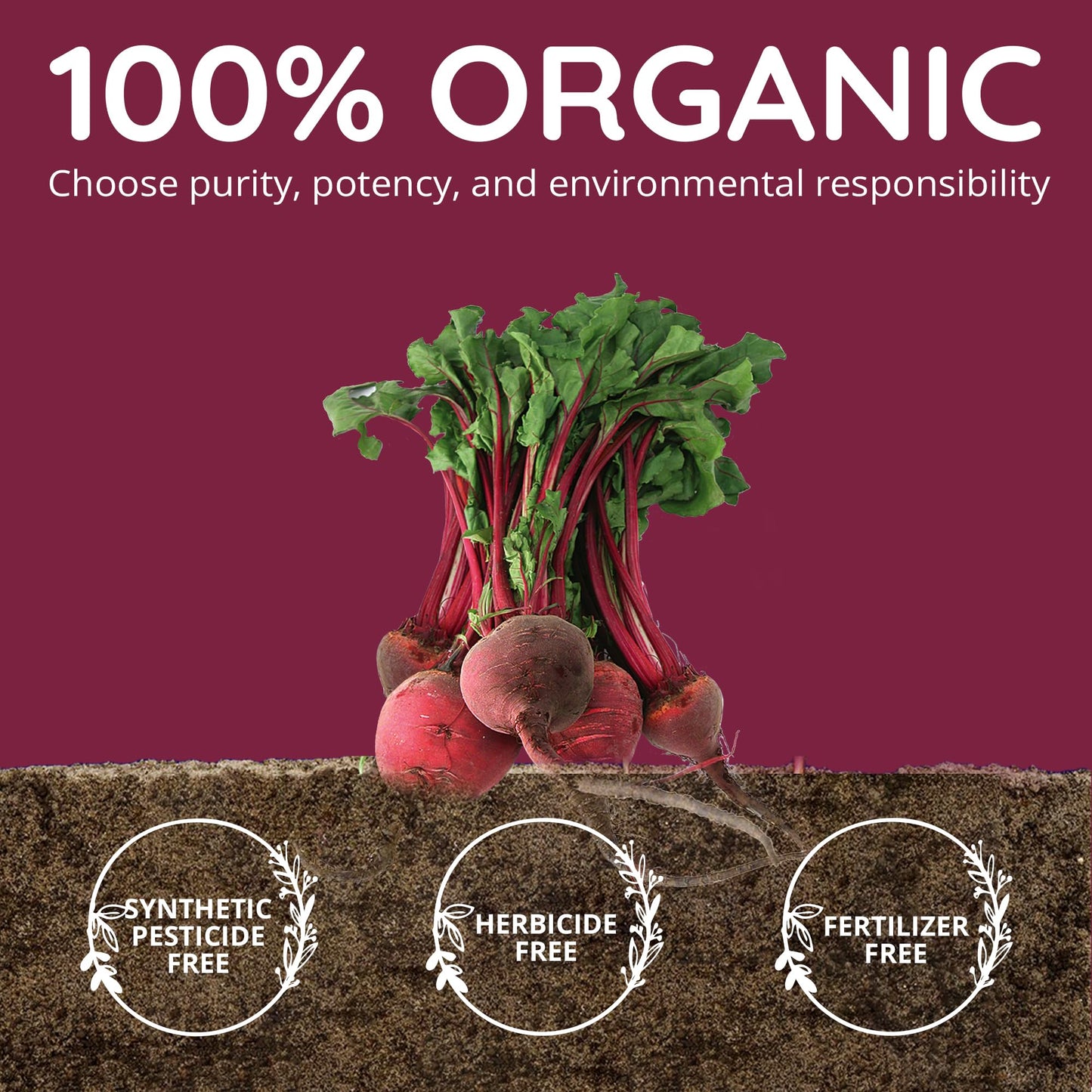 Happy Healthy Hippie Organic Beet Root Capsules 60 Count