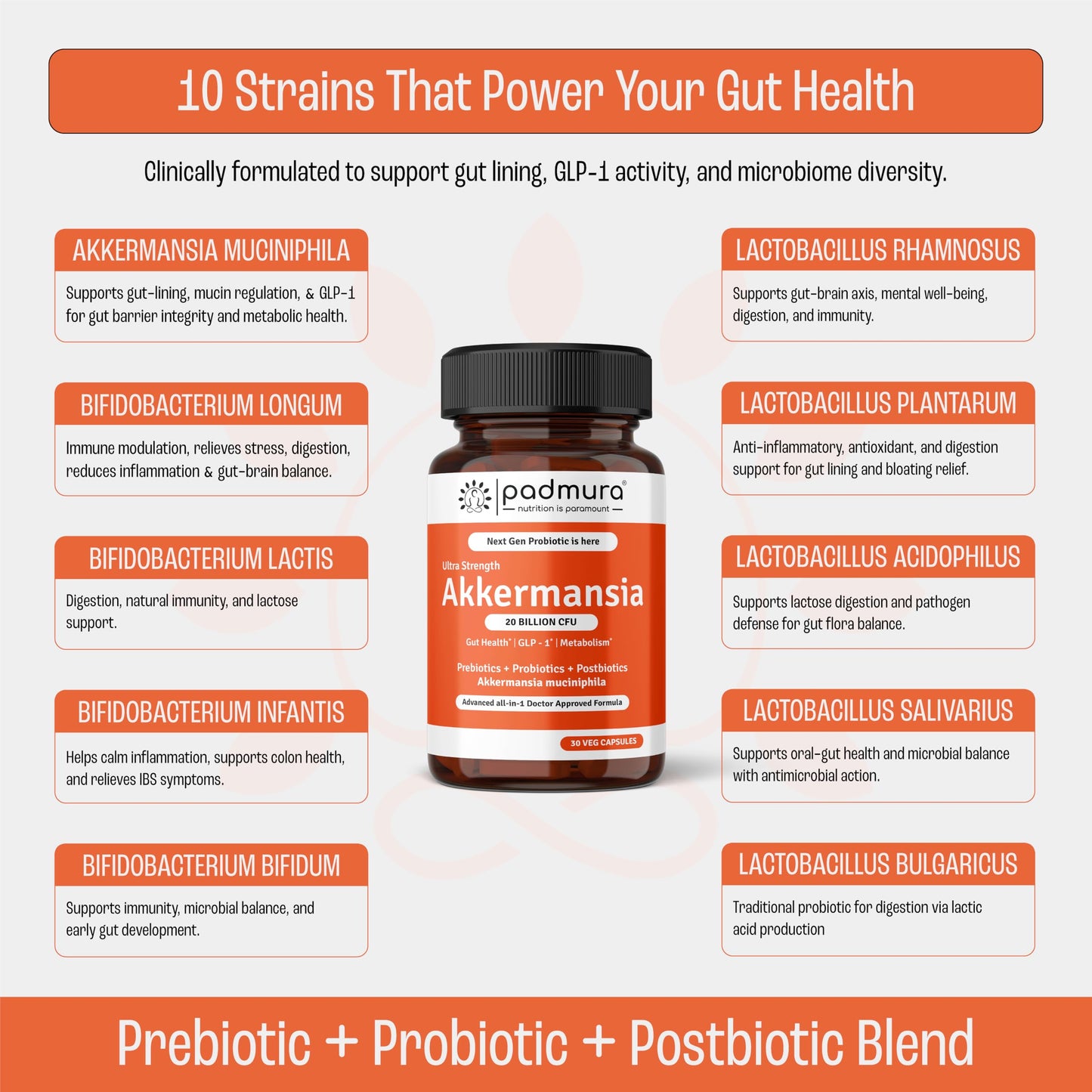 PADMURA Akkermansia Muciniphila Probiotic Supplement Capsule 30 Count