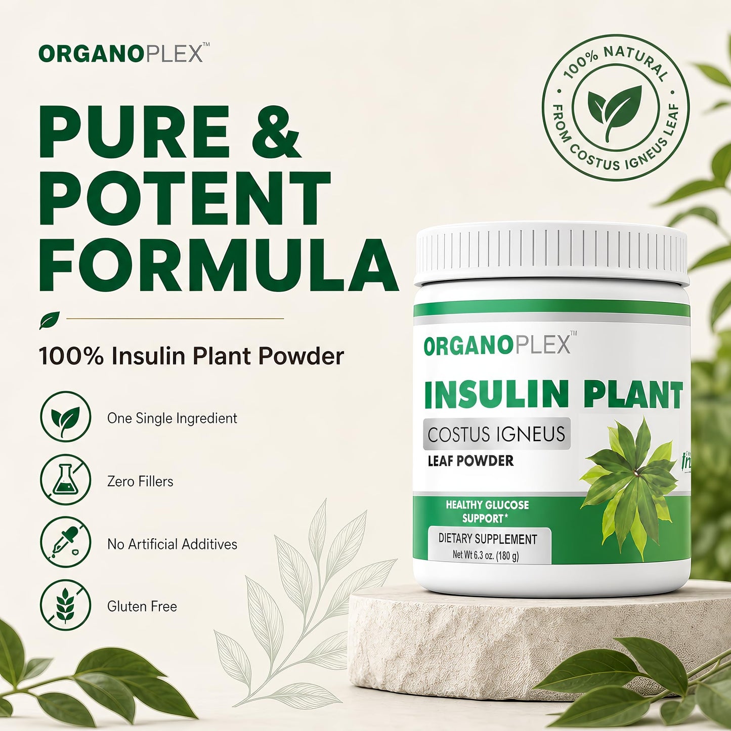 ORGANOPLEX Insulin Plant Powder Blood Sugar Support Supplement 6.4 oz
