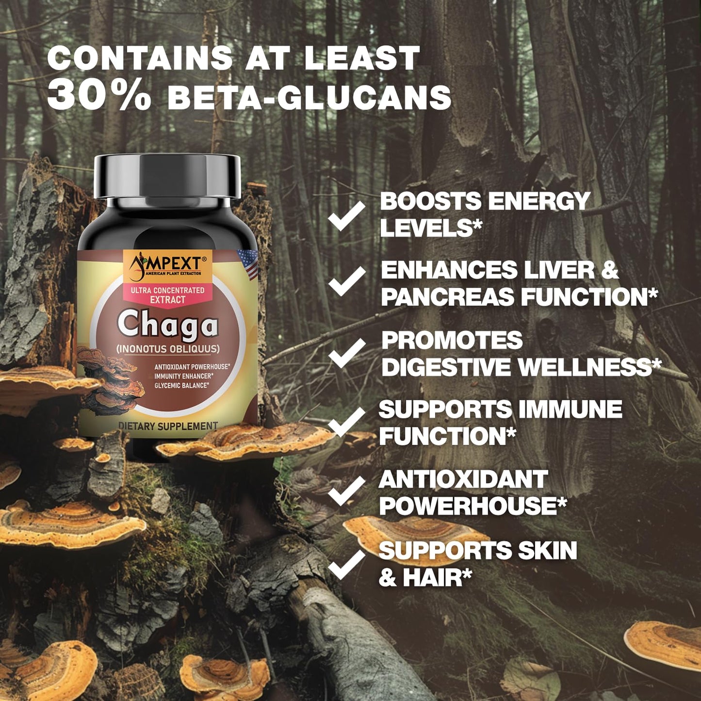 AMPEXT Chaga Premium Quality Fruiting Bodies Extract More Than 30% Beta-Glucans 90 Capsules