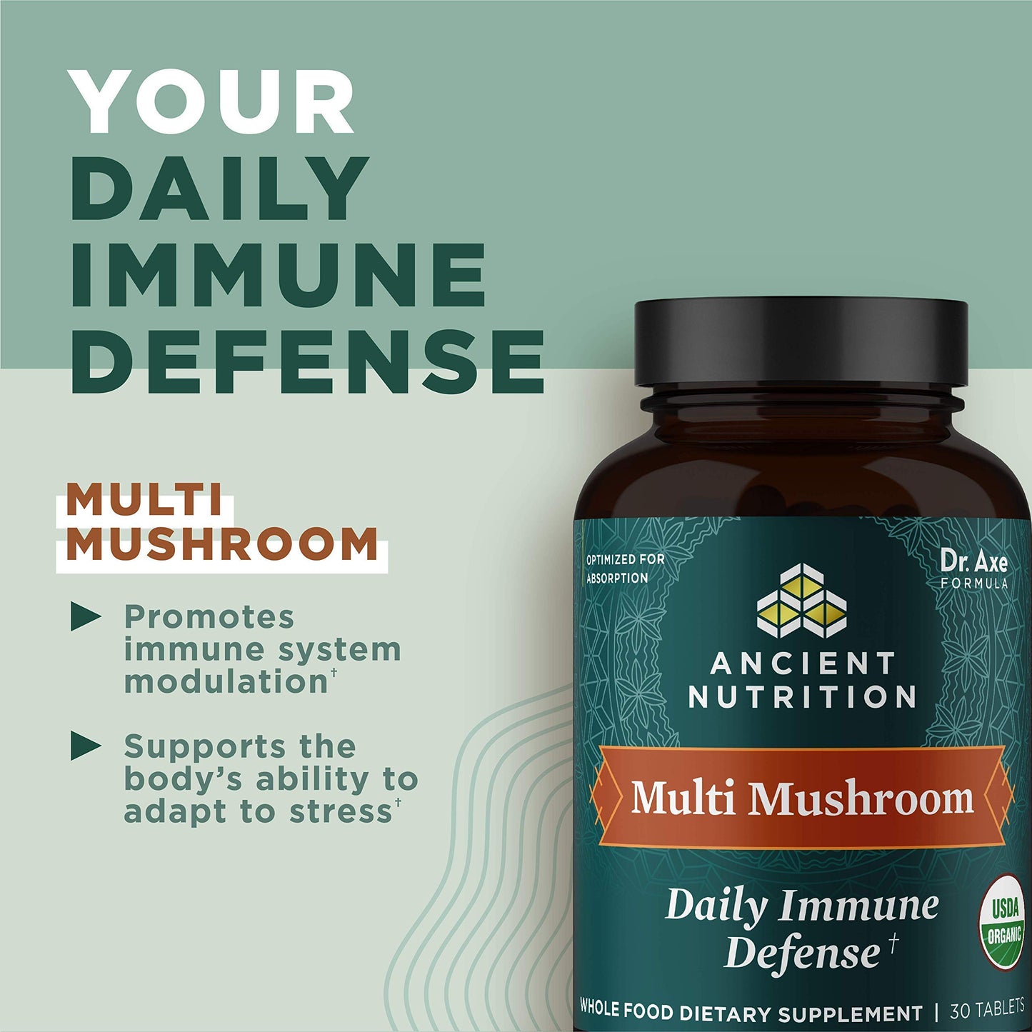 Ancient Nutrition Mushroom Supplement Organic Multi Mushroom Immune Support, 60 Tablets