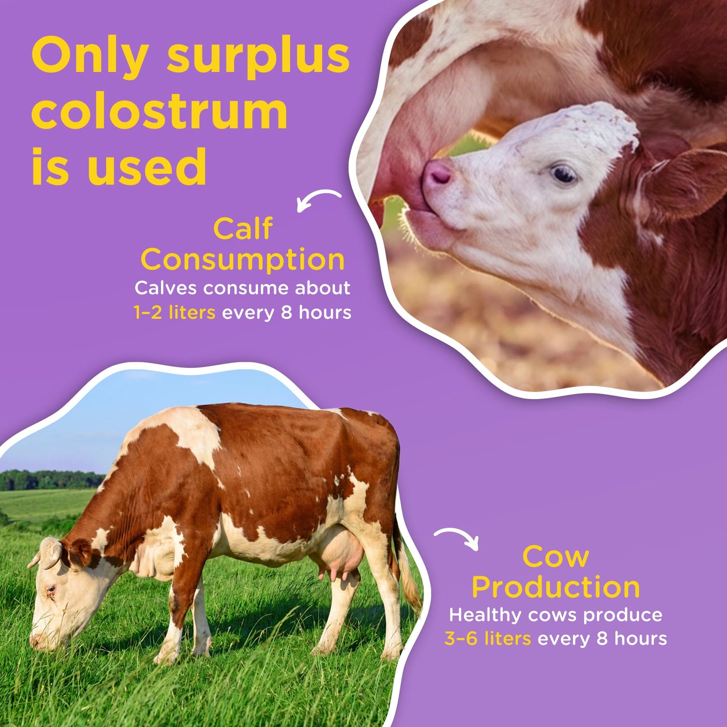 Lifeable Bovine Colostrum Powder 2.1 Ounce (Pack of 1)