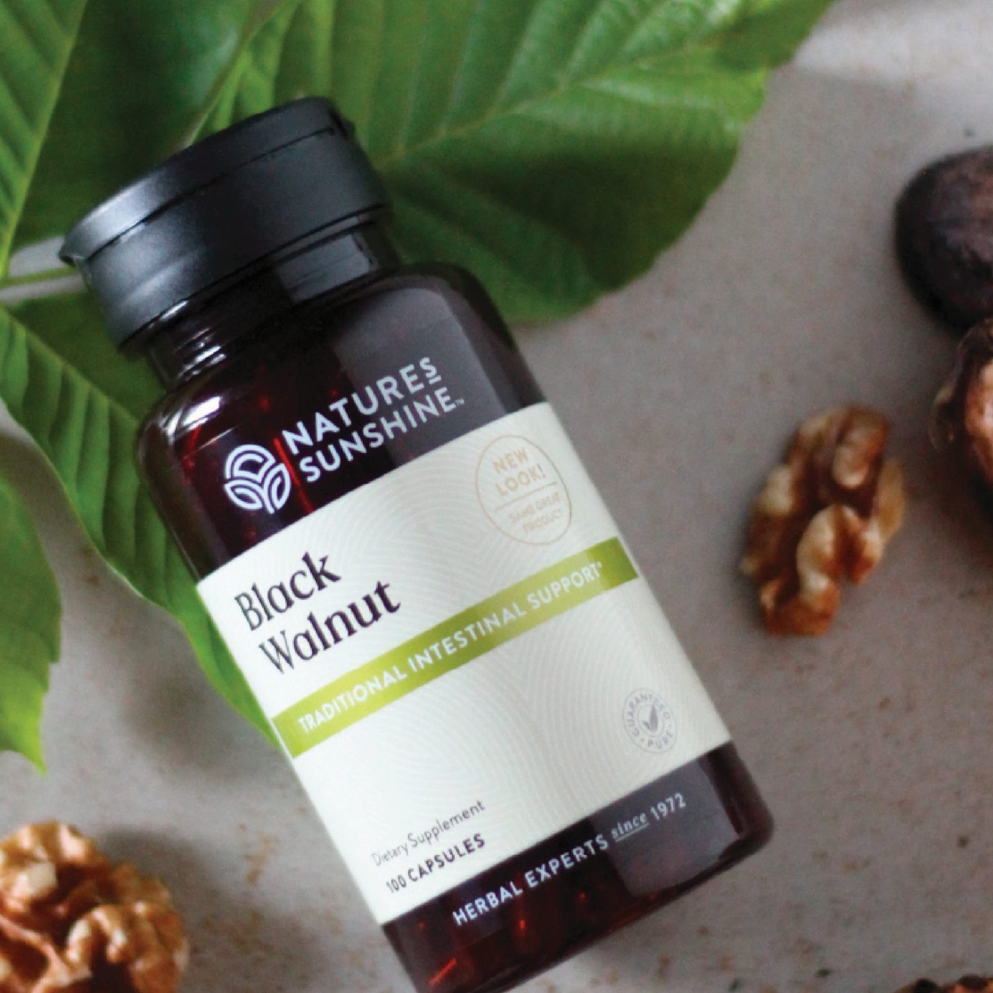 Nature's Sunshine Black Walnut Capsules 100 Capsules