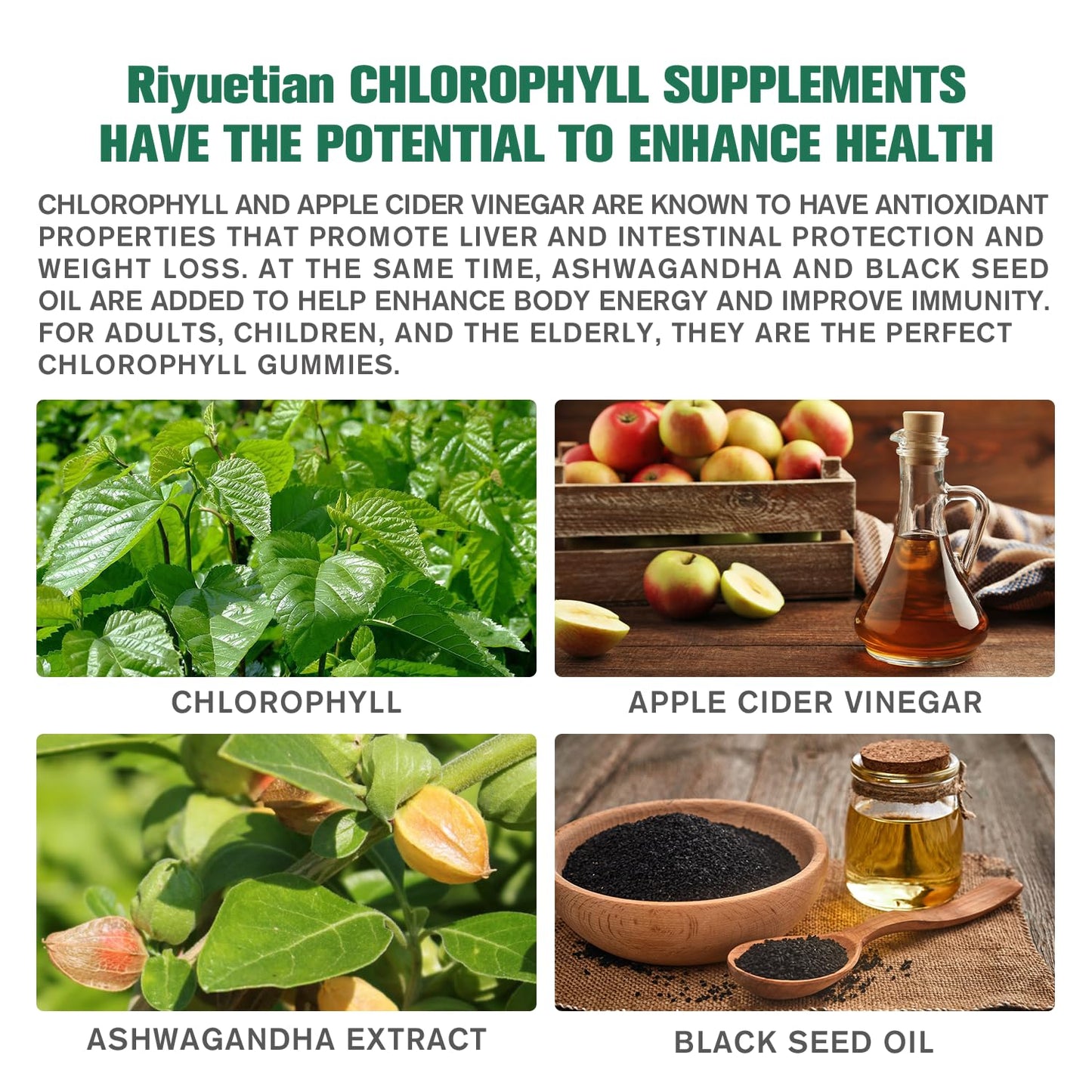 Riyuetian Sugar Free Chlorophyll Gummies with Unfiltered ACV, Sea Moss, Elderberry, Echinacea, Vitamin D3, C, E, B12, Vegan, 60 Gummies