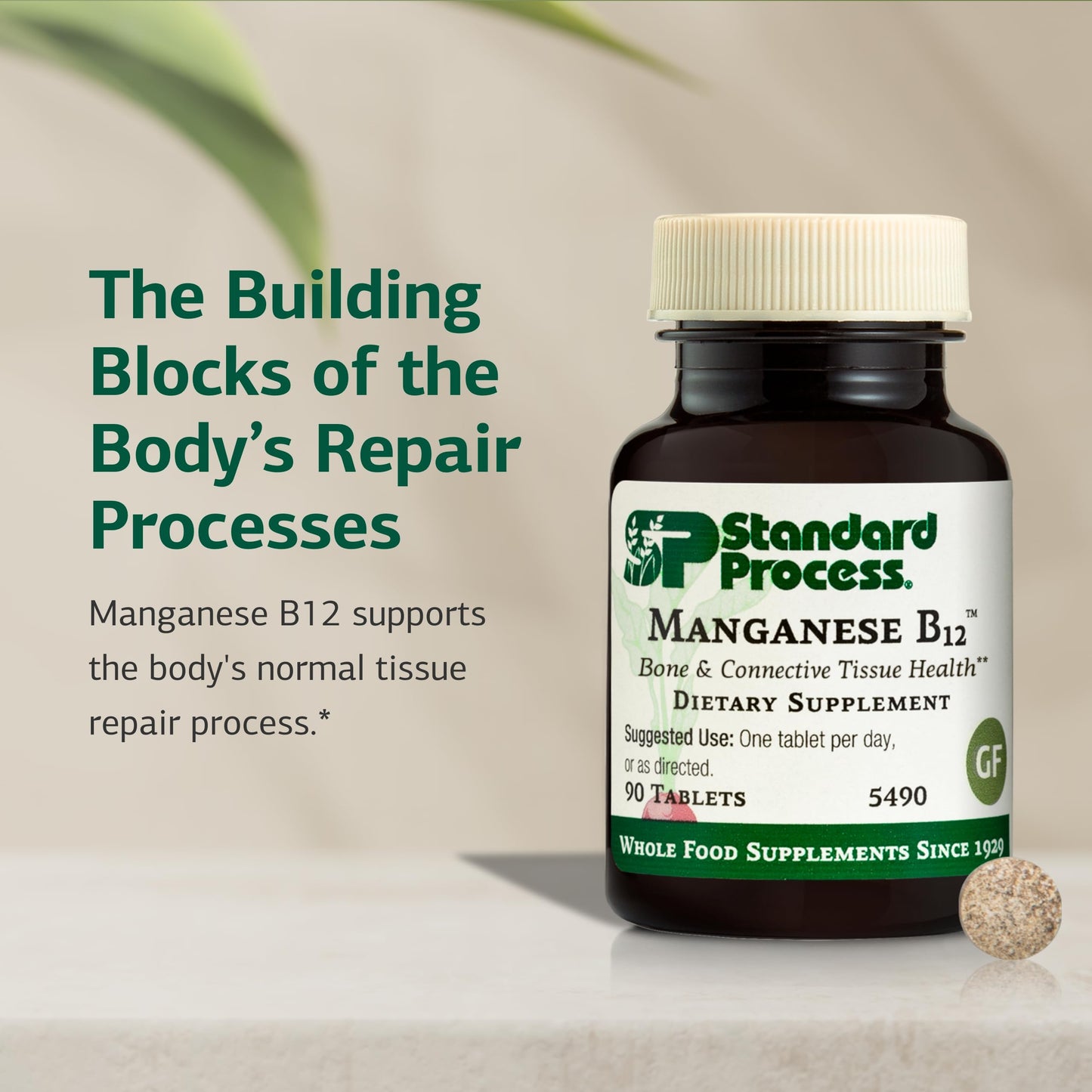 Standard Process Inc. Manganese B12, Bone & Connective Tissue, 90 Tablets